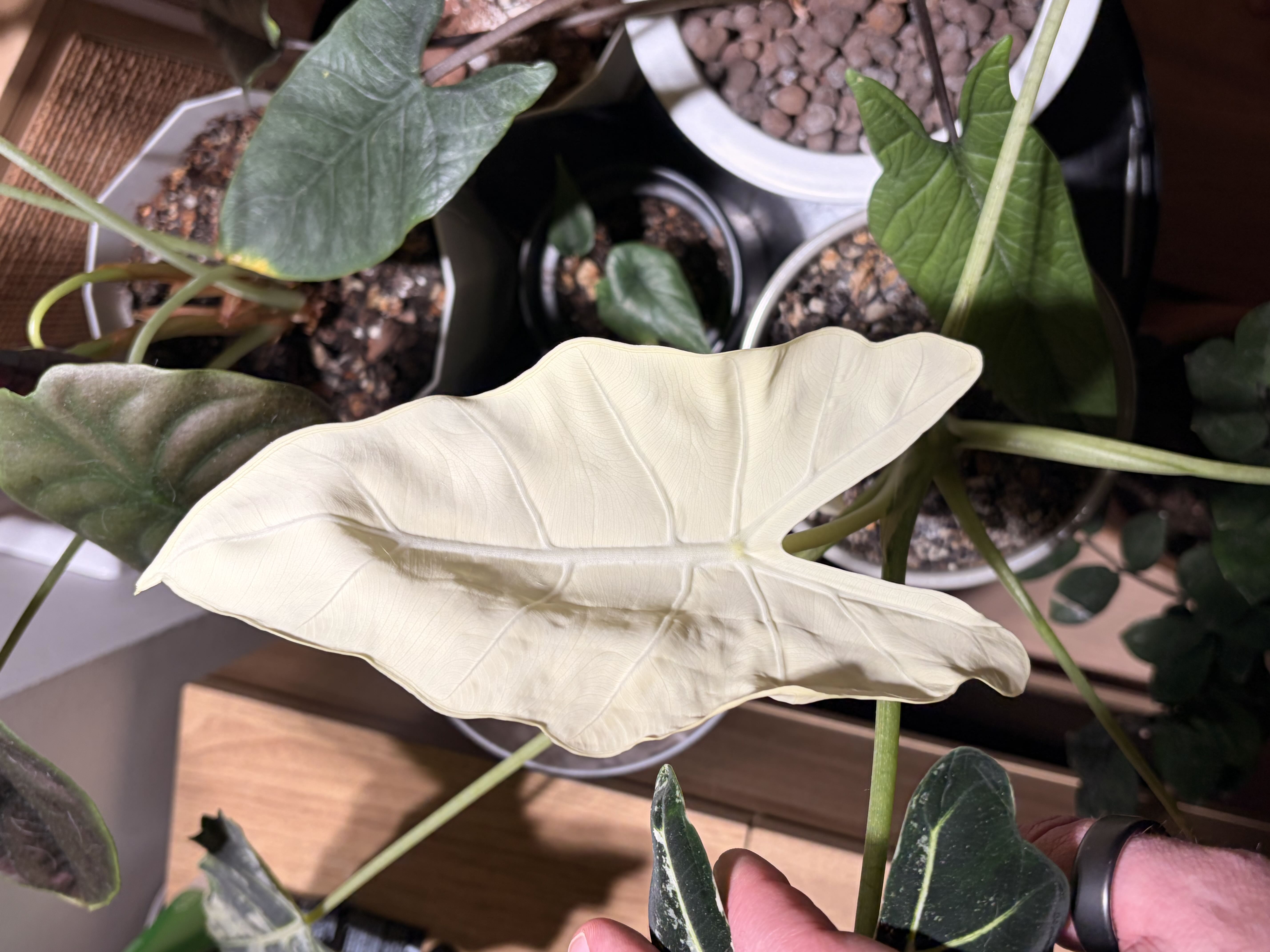 Photo from the post