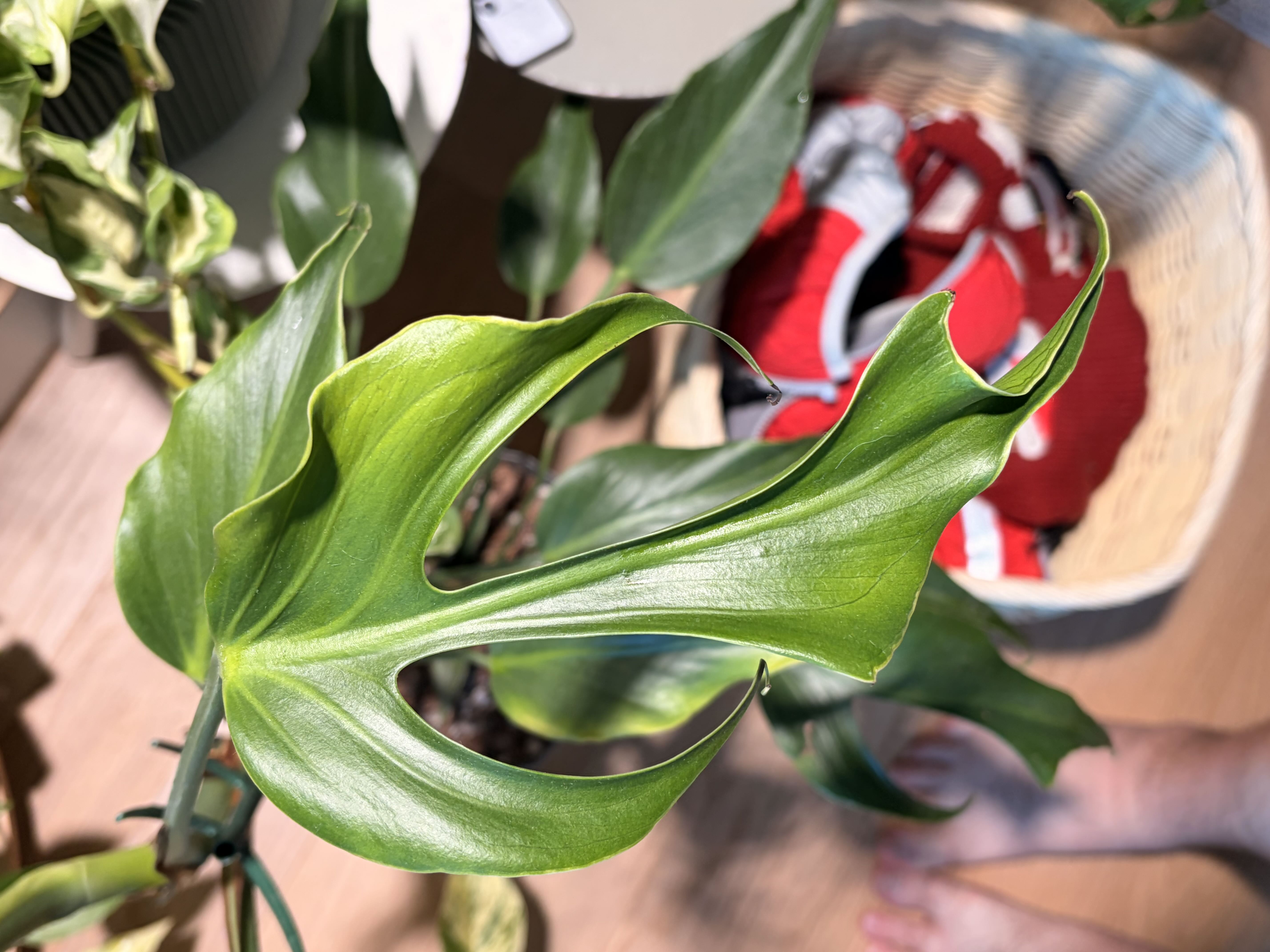 Photo from the post