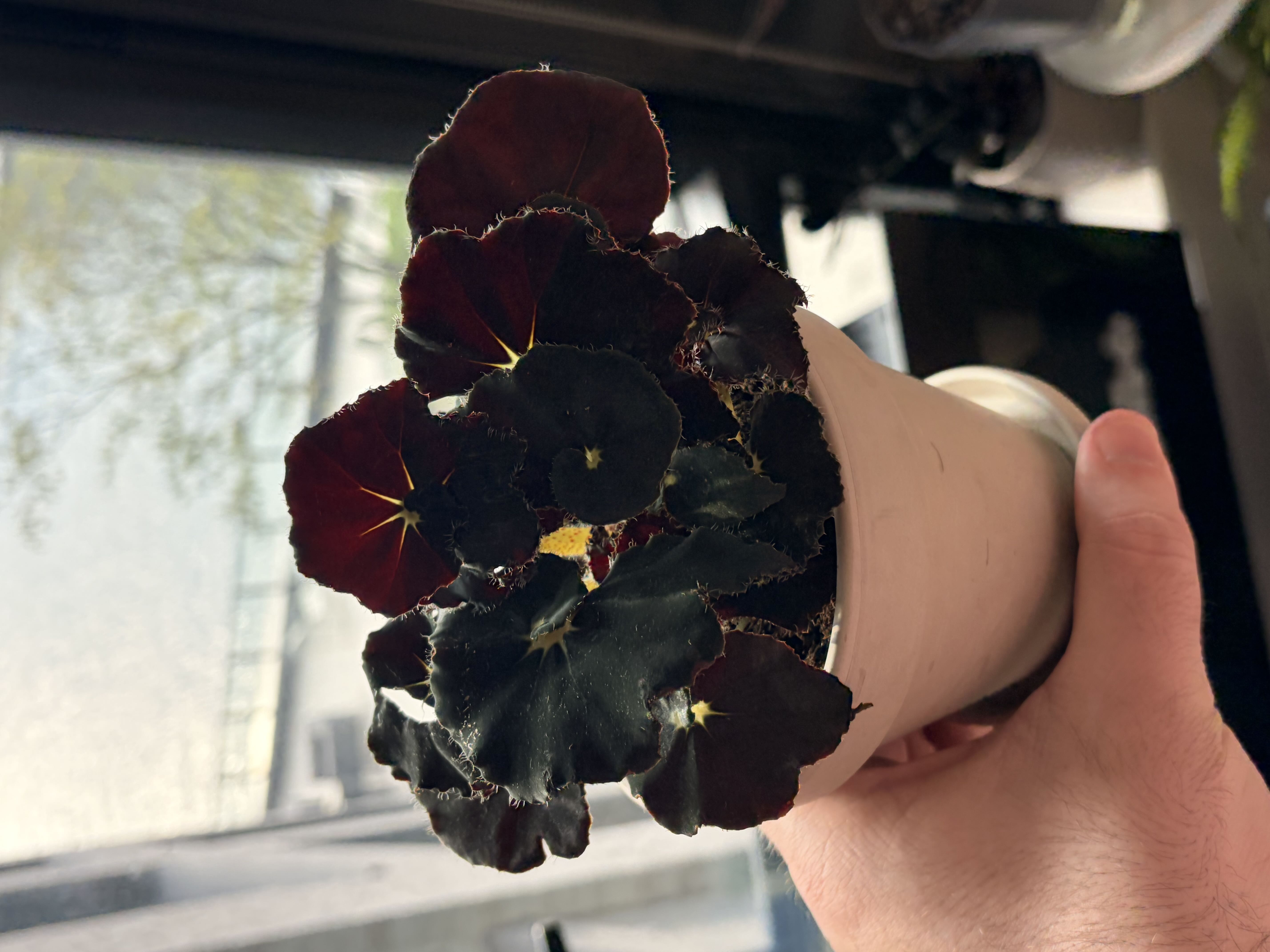 Photo from the post