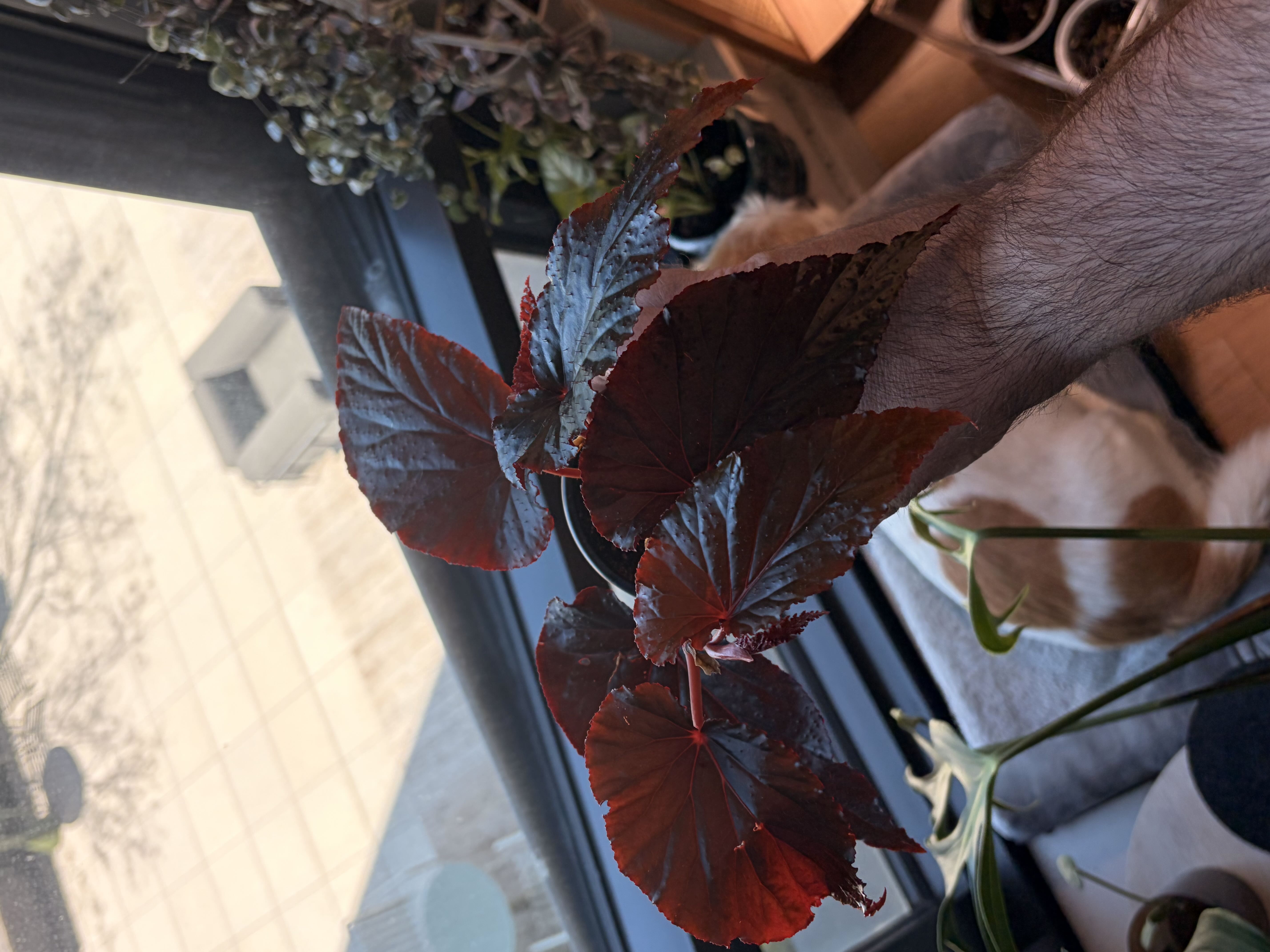 Photo from the post