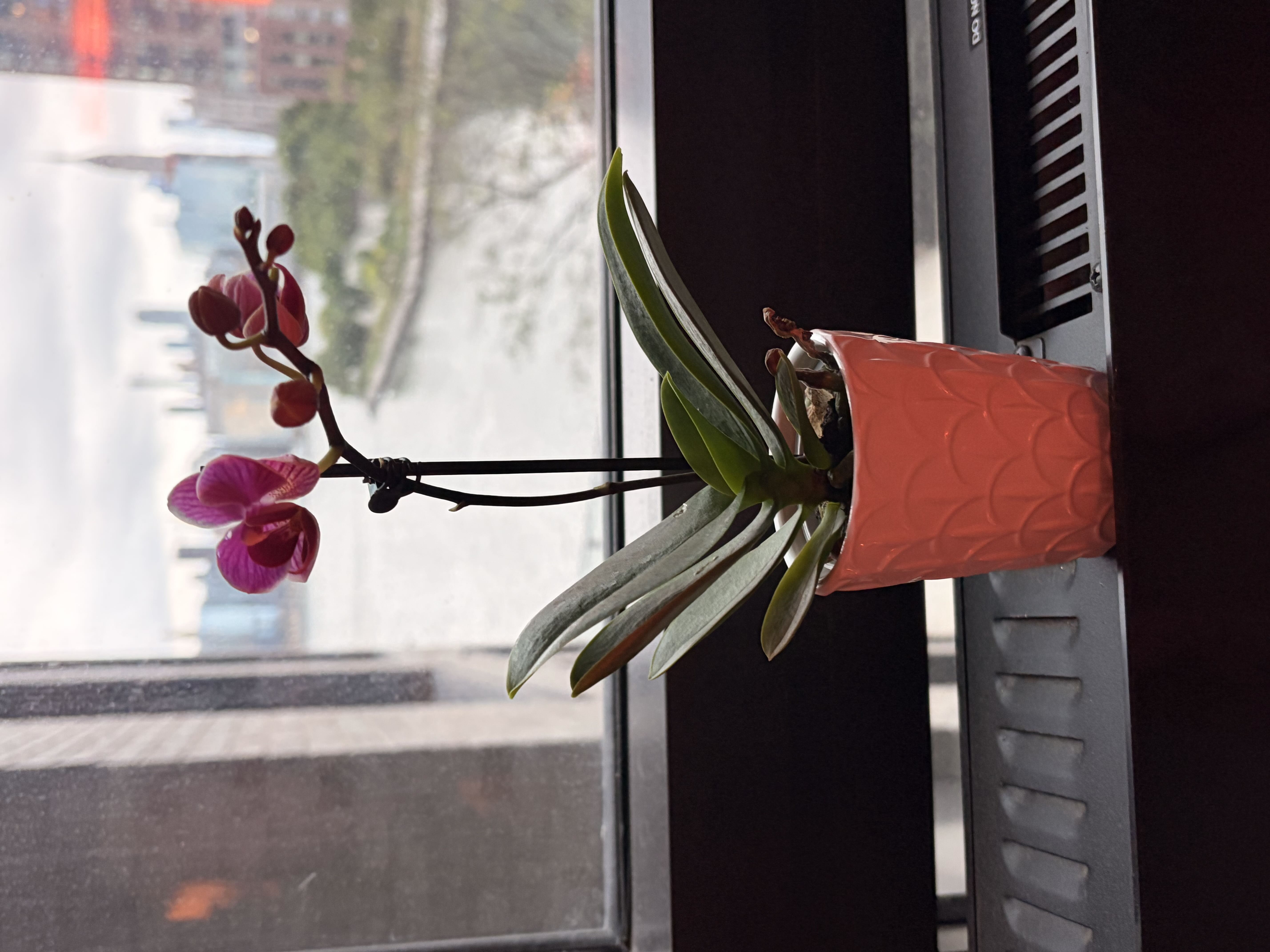 Photo from the post