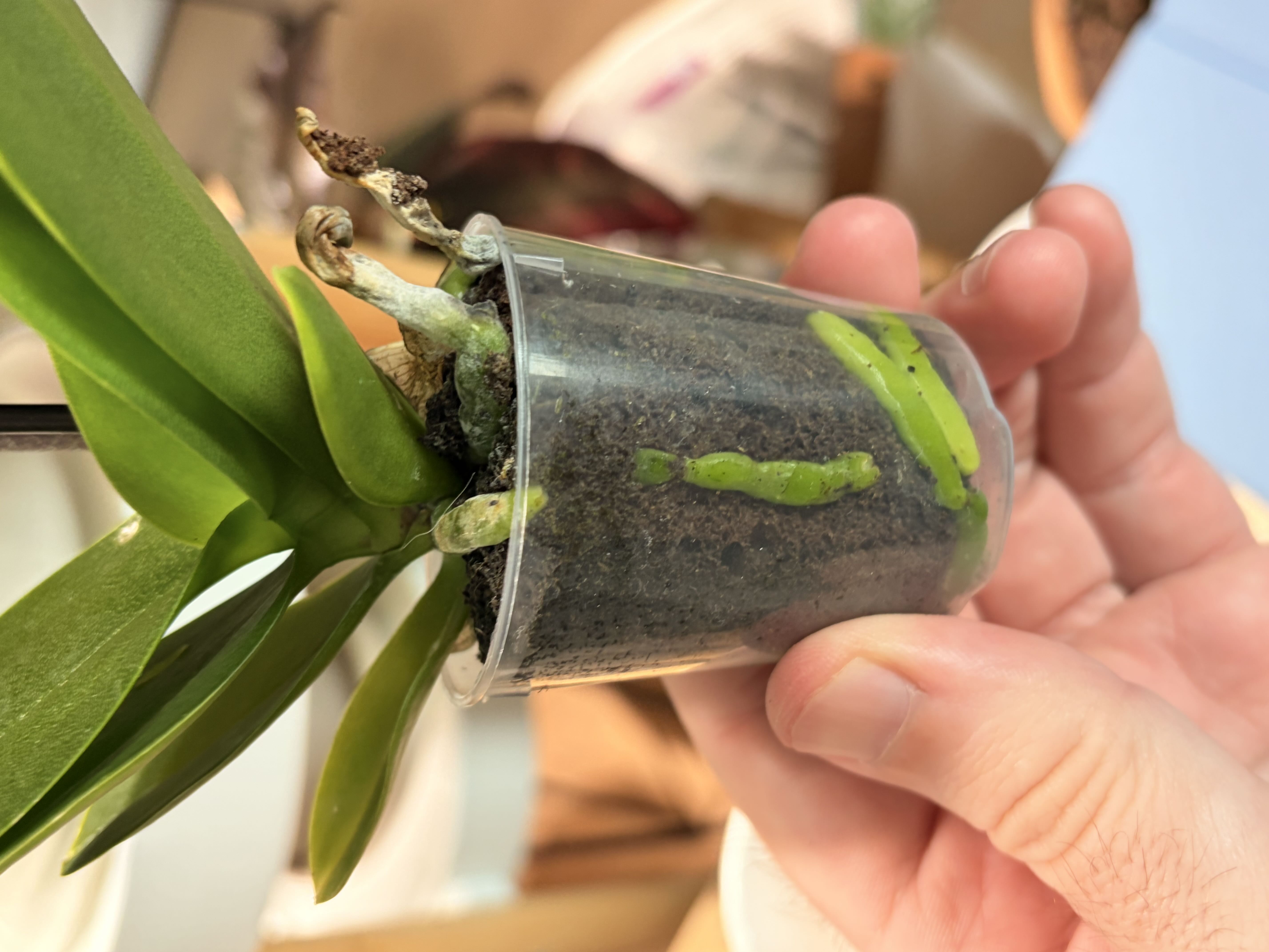 Photo from the post