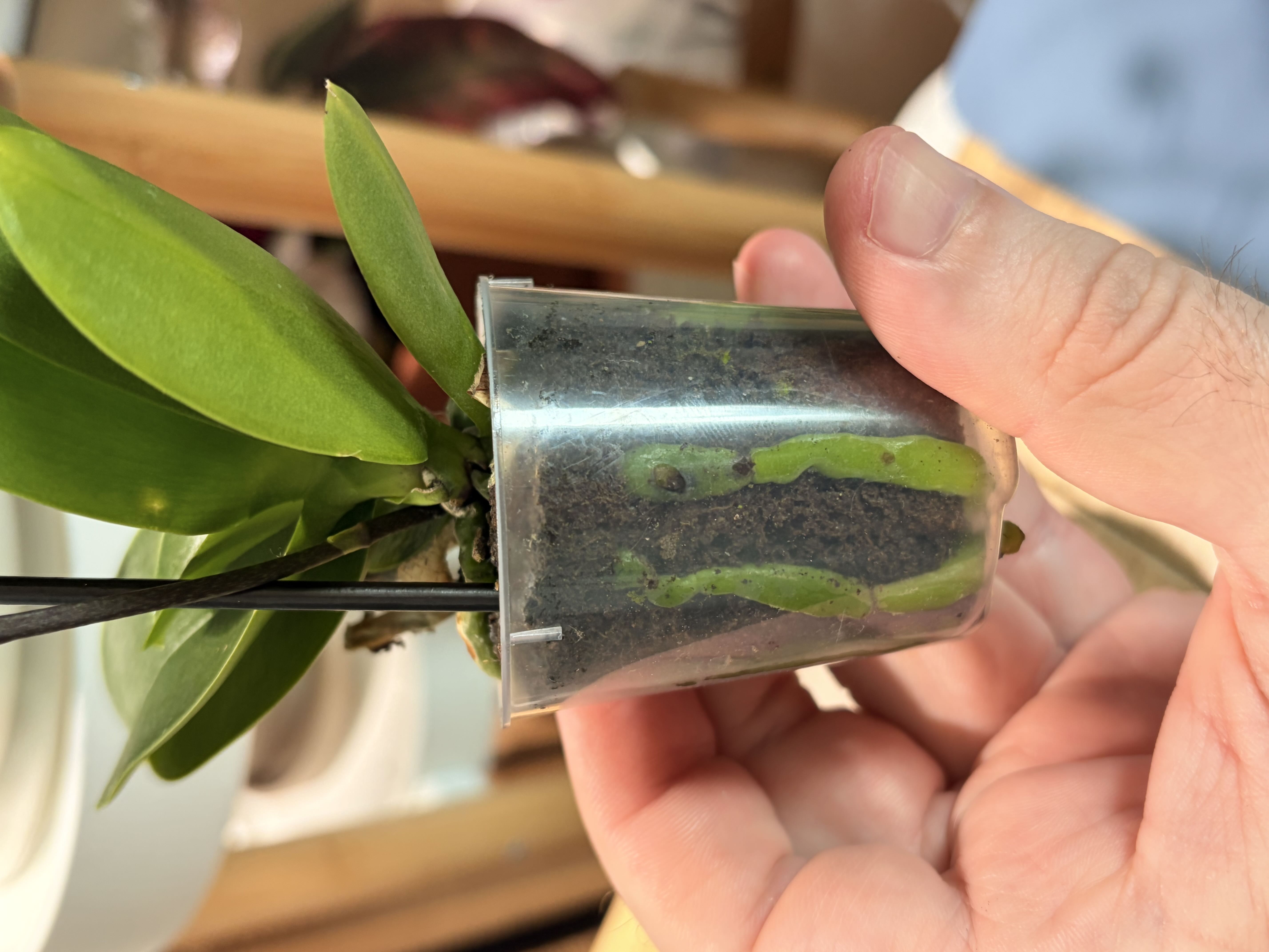 Photo from the post