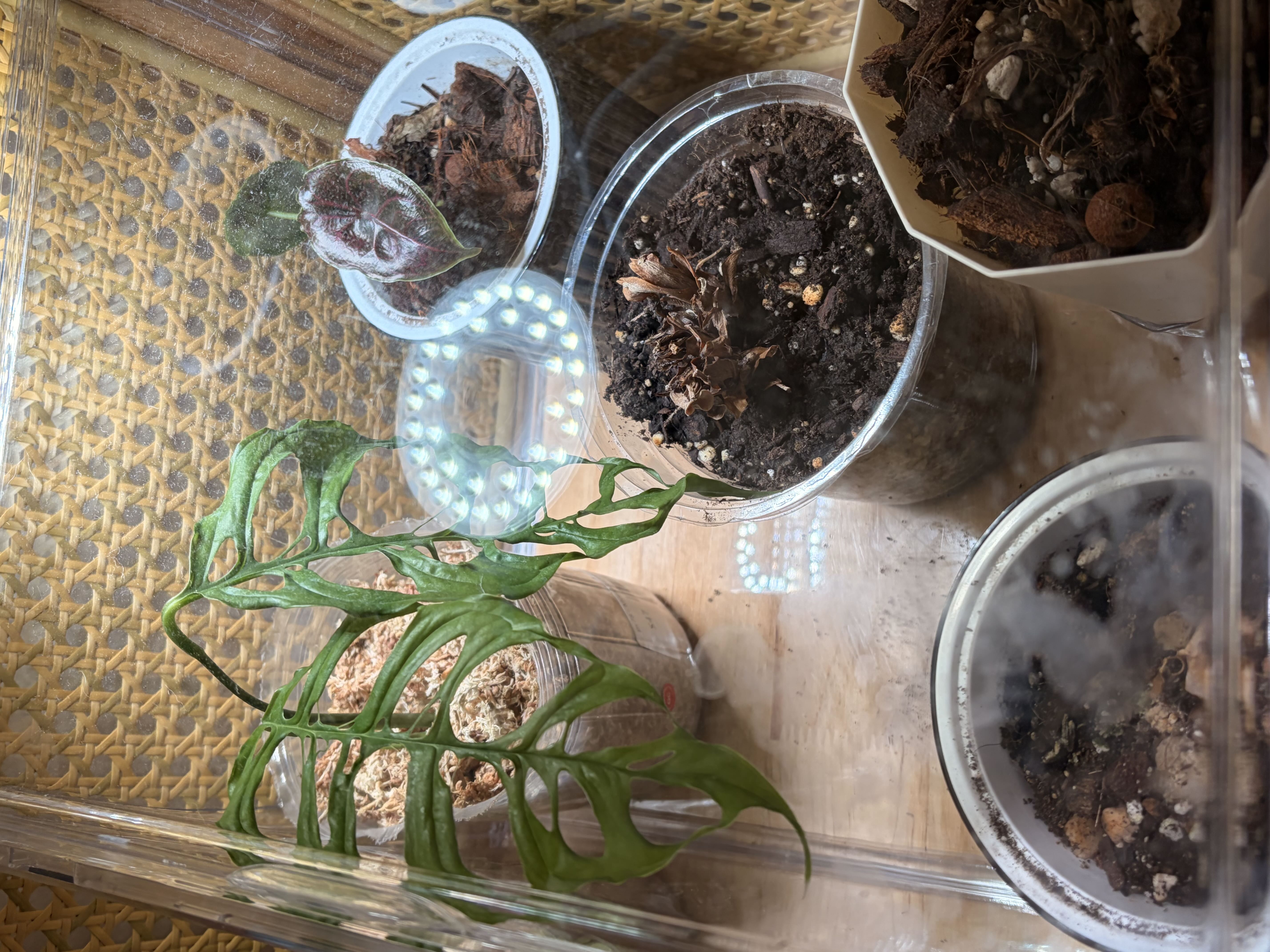 Photo from the post
