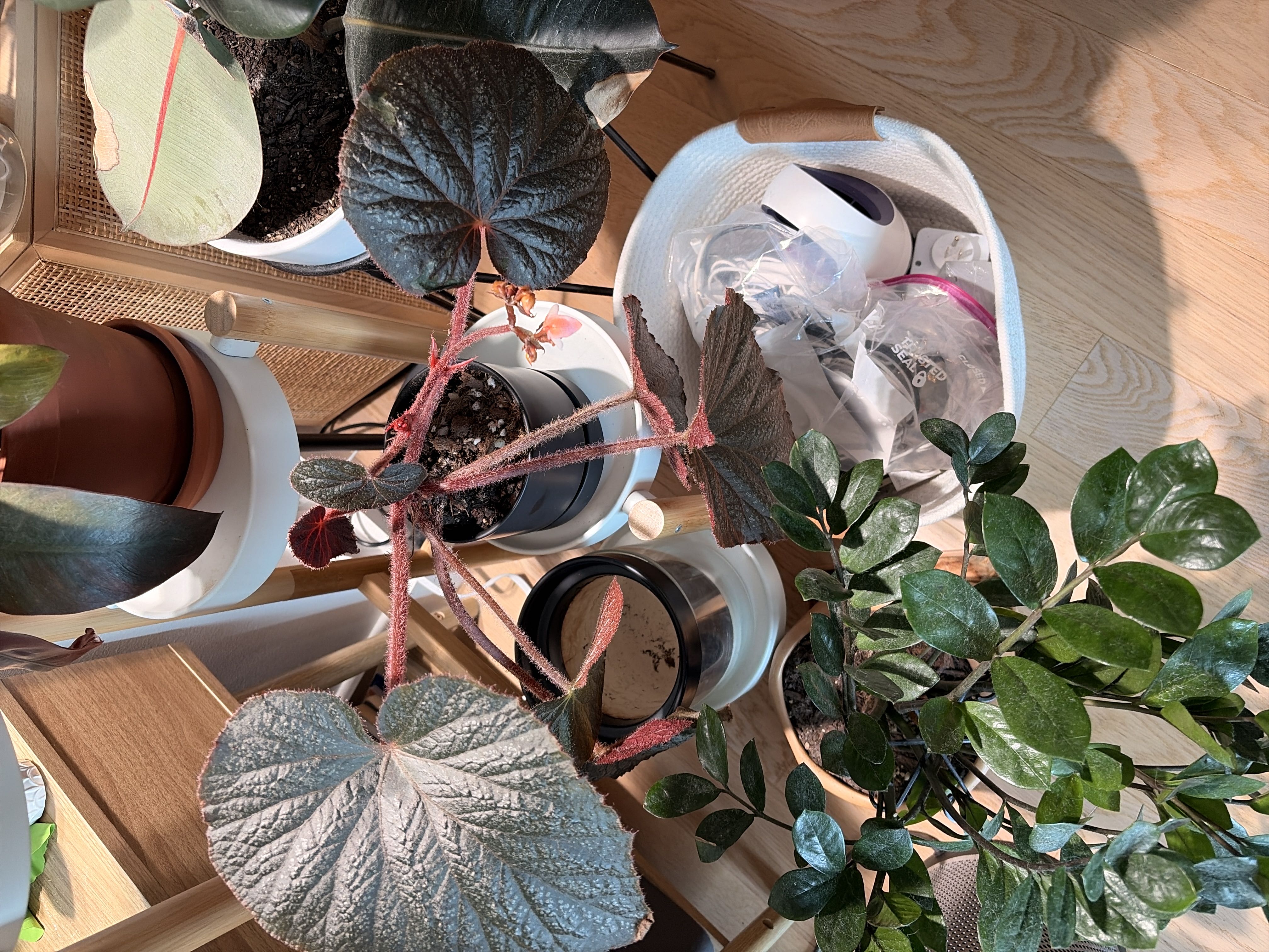 Photo from the post