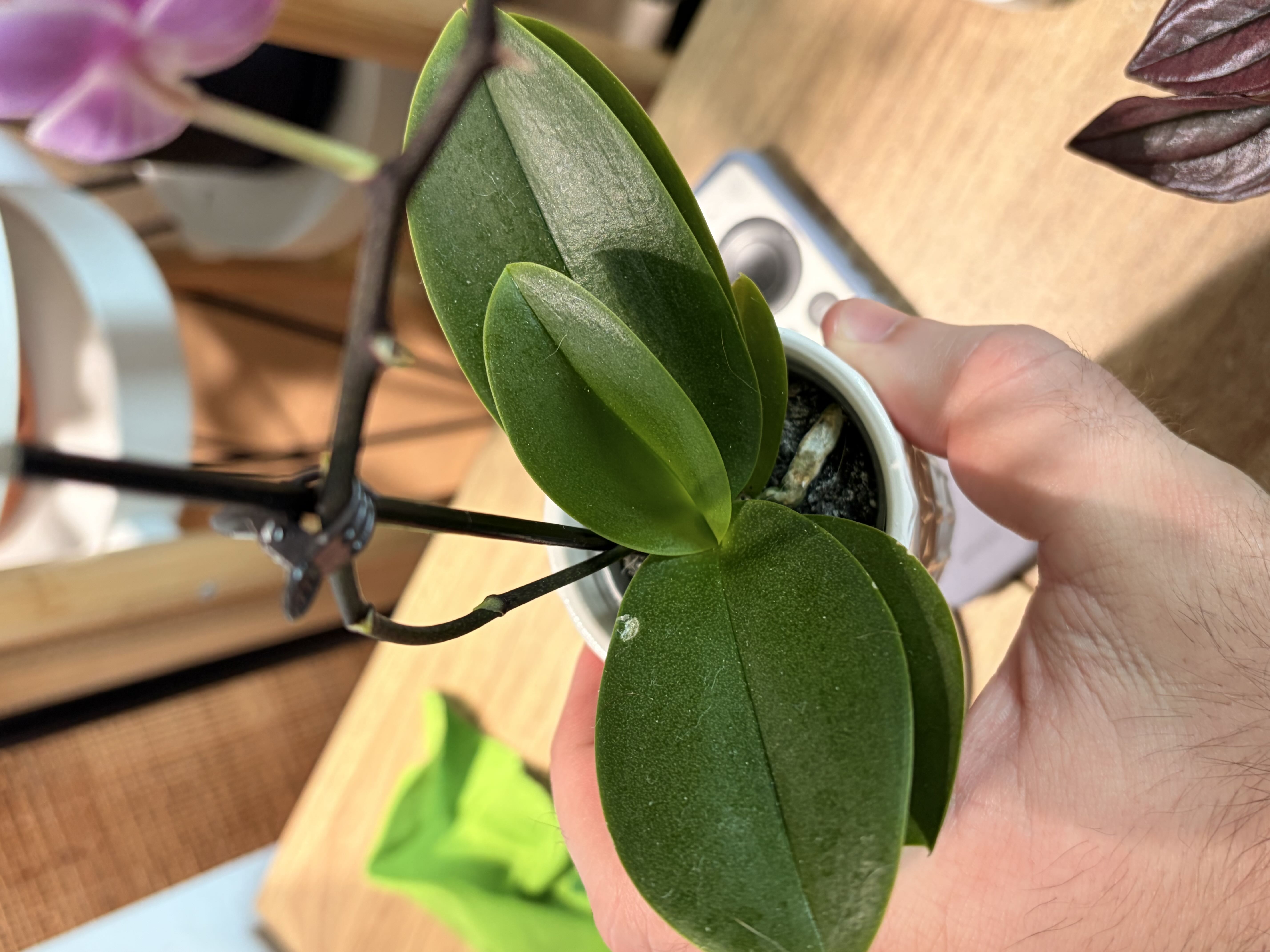 Photo from the post