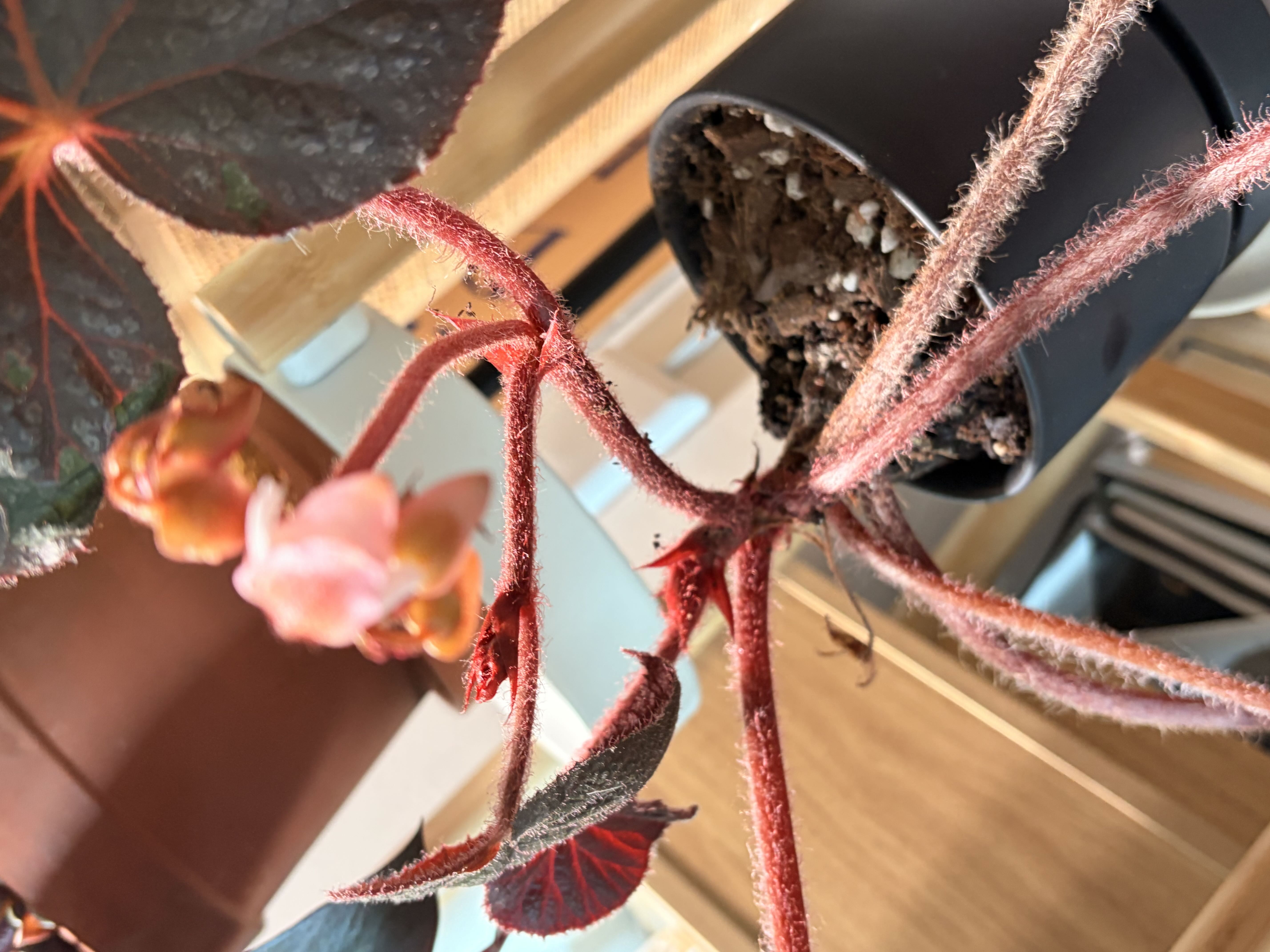 Photo from the post