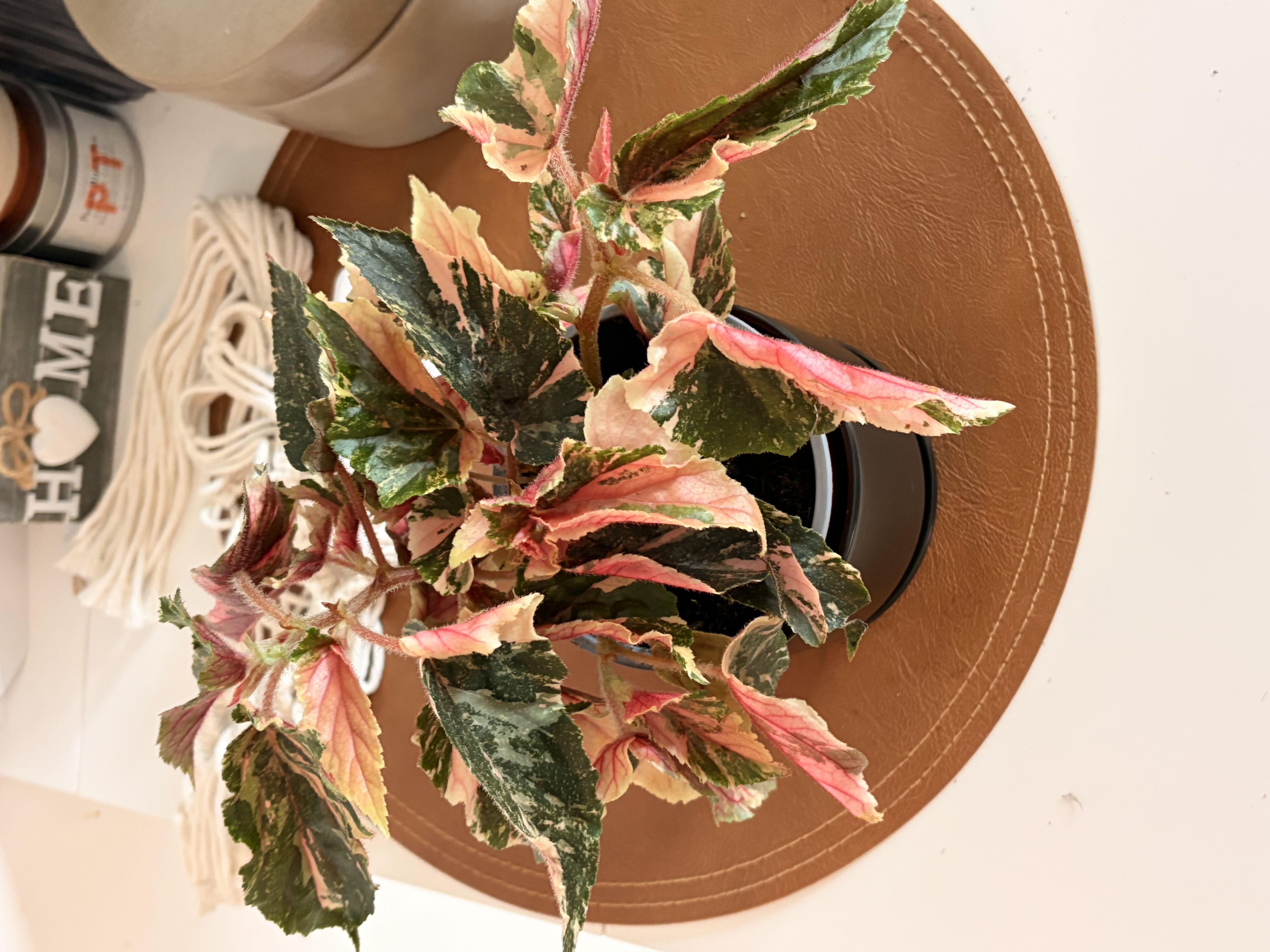 Photo from the post