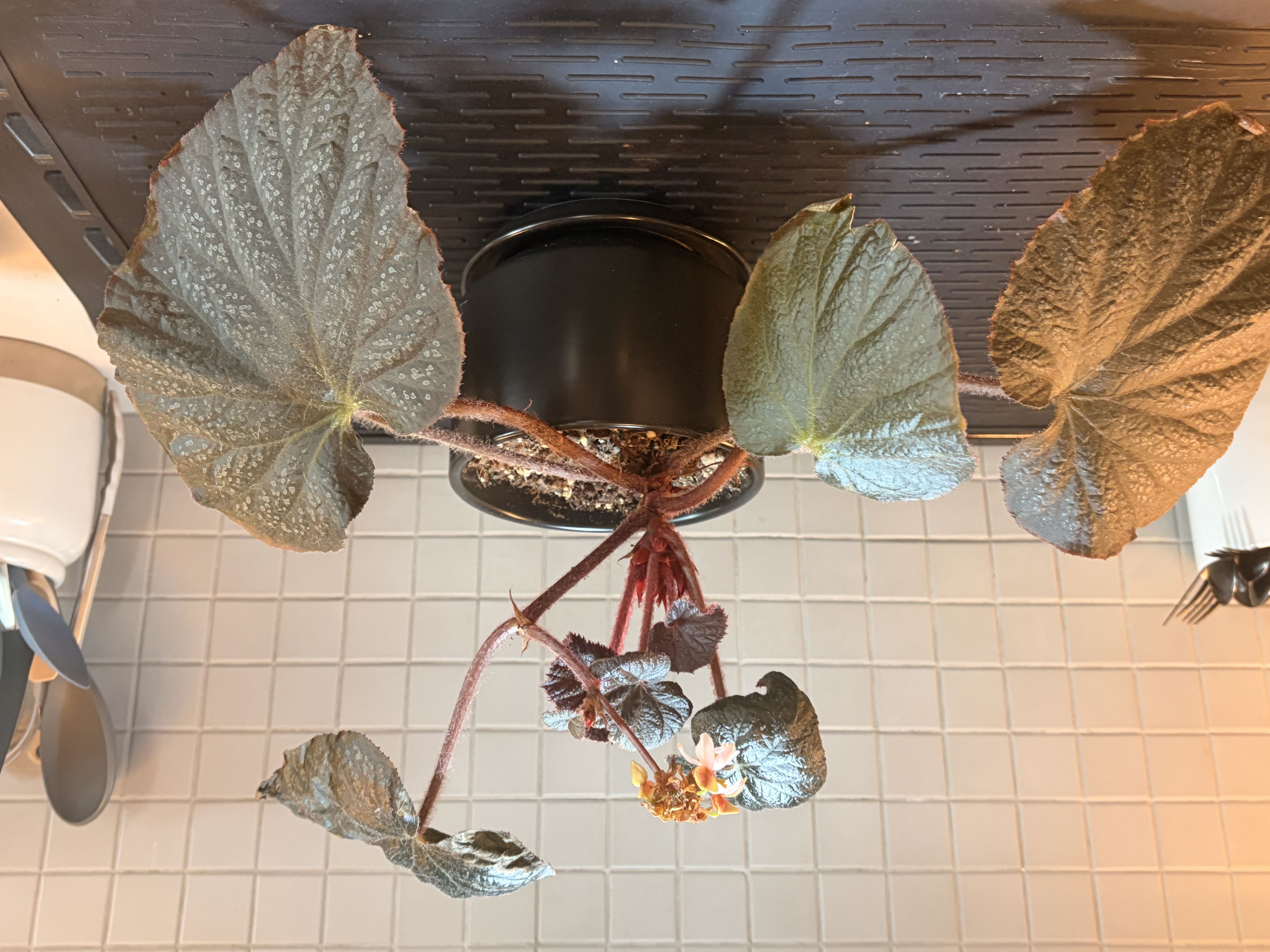 Photo from the post