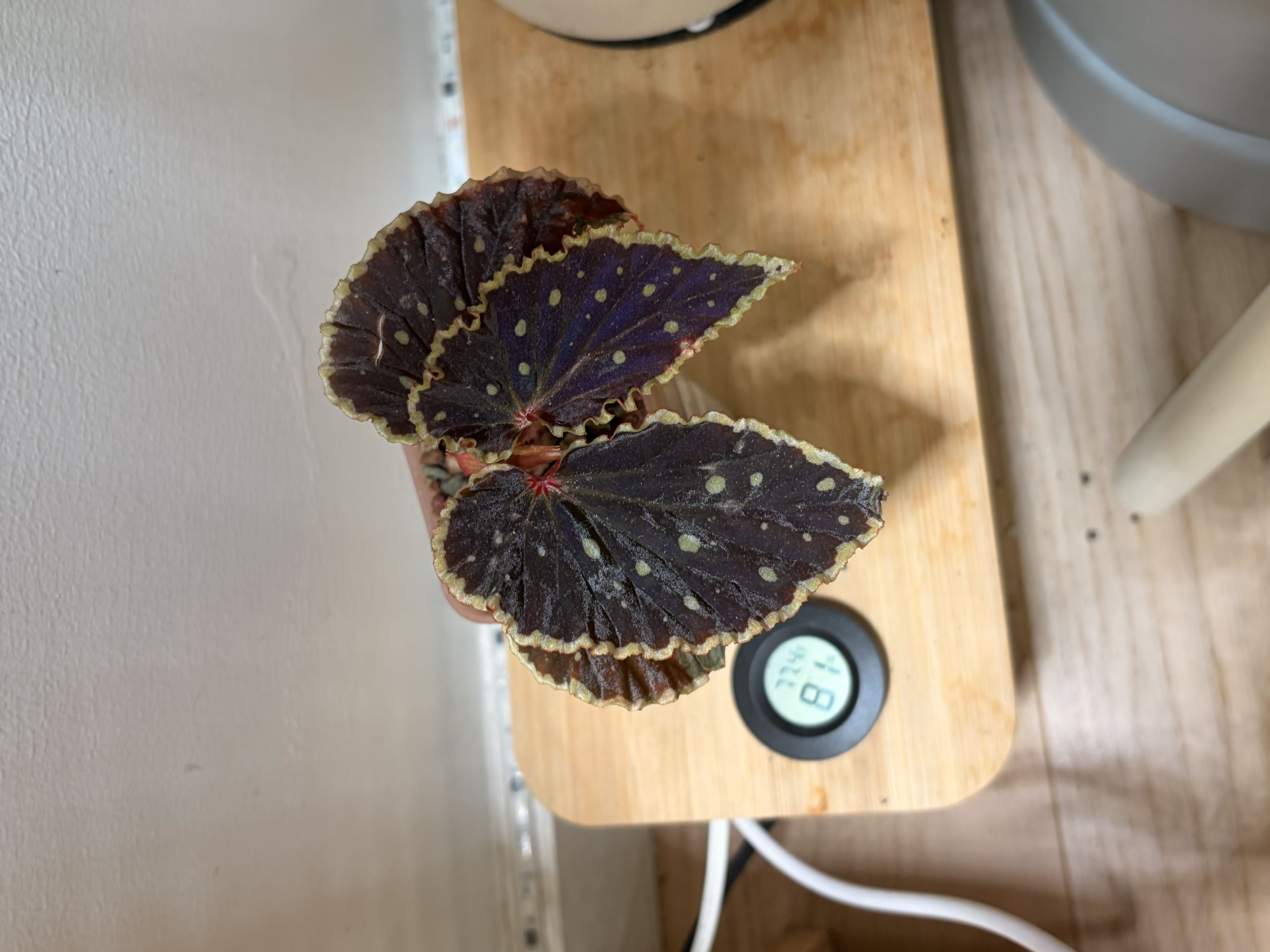 Photo from the post