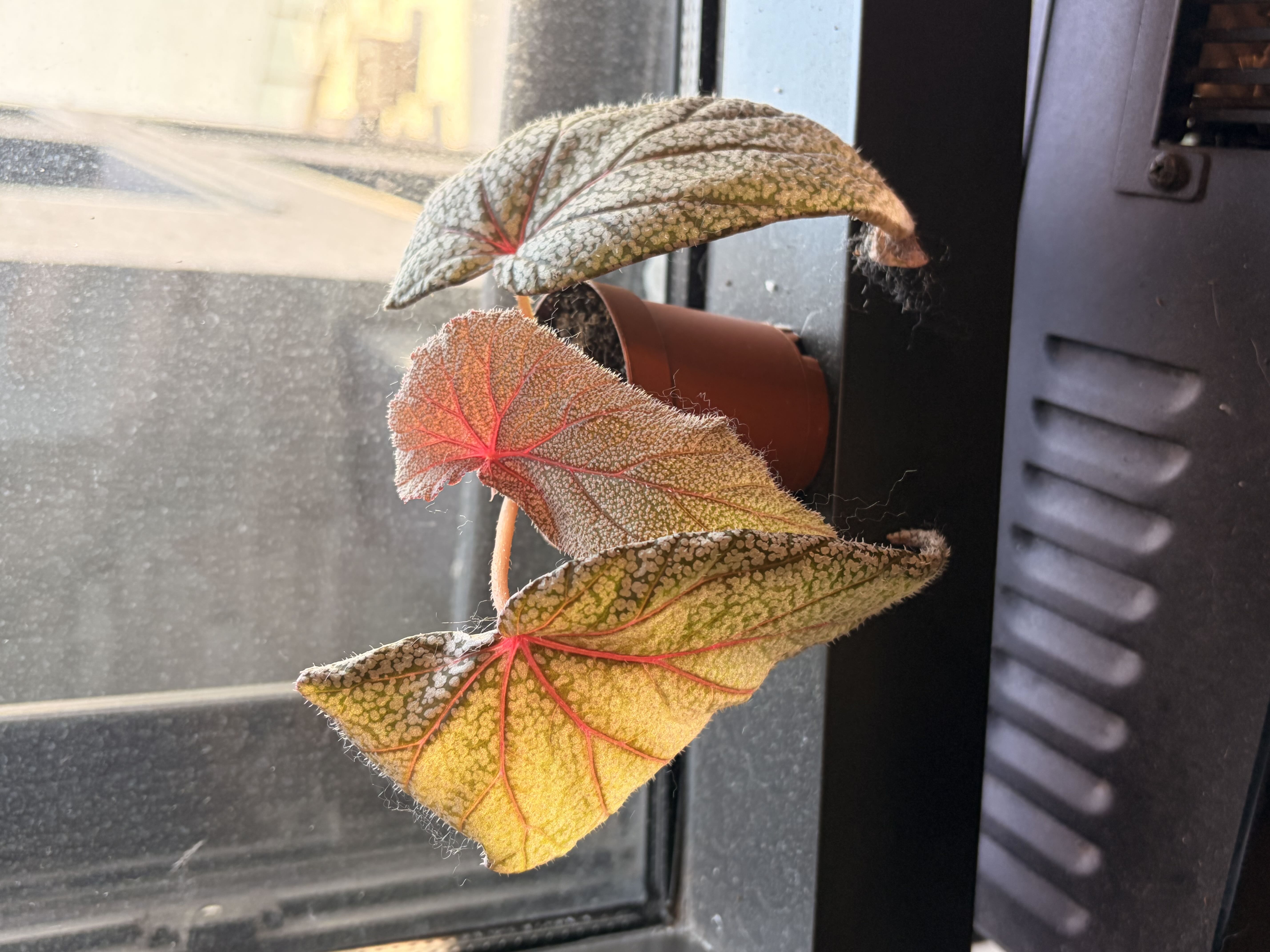 Photo from the post