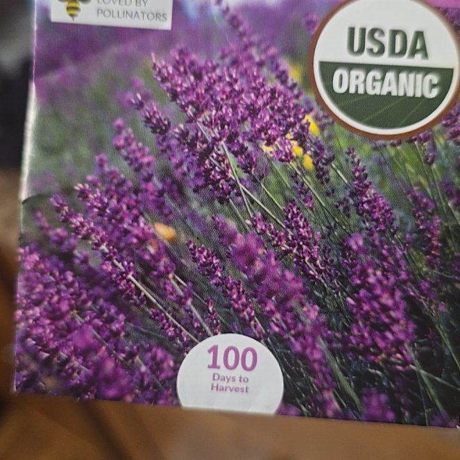 Photo of the plant species True Lavender by @TryDamsii3 named Miley on Greg, the plant care app