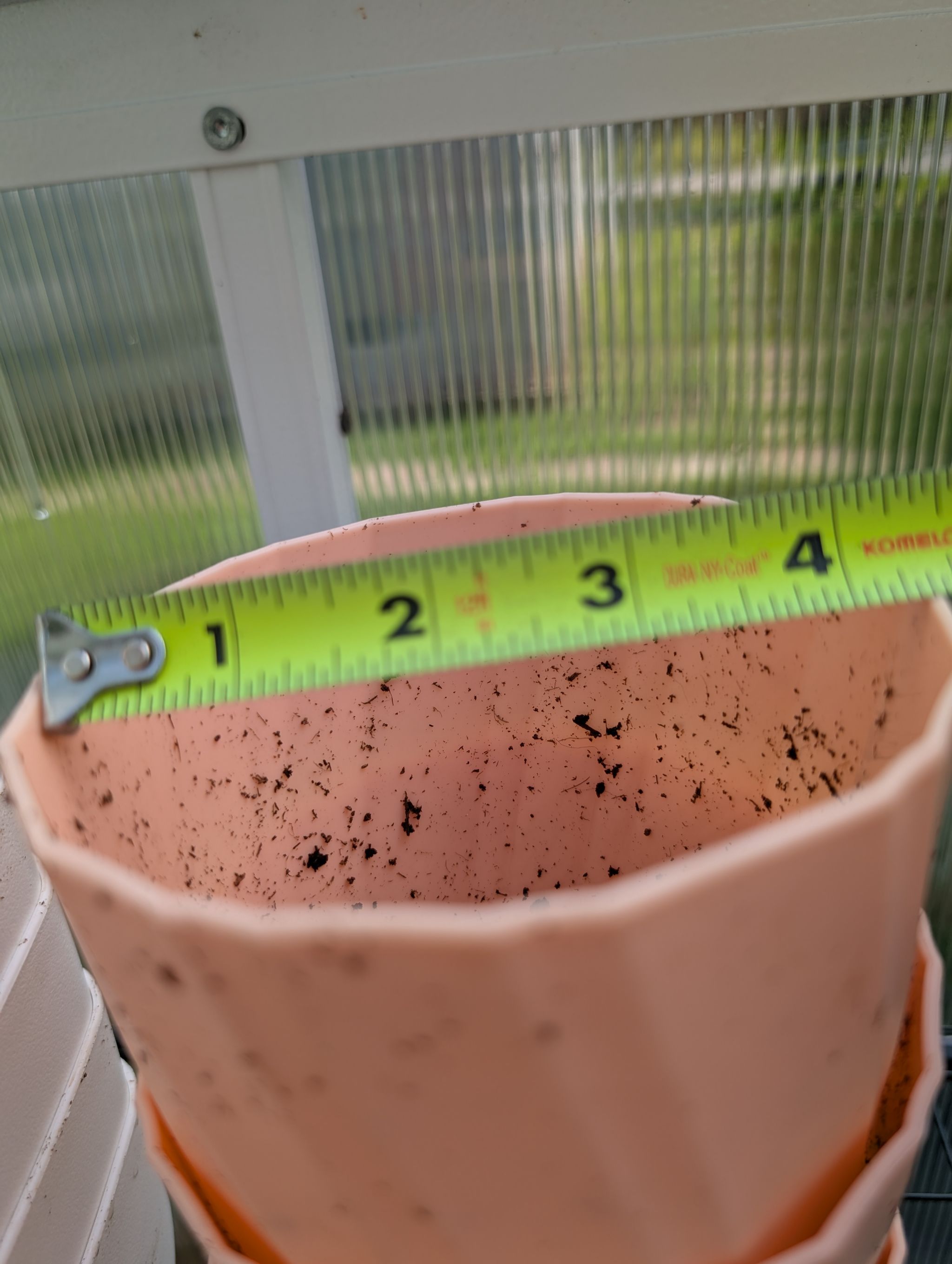 Photo from the post