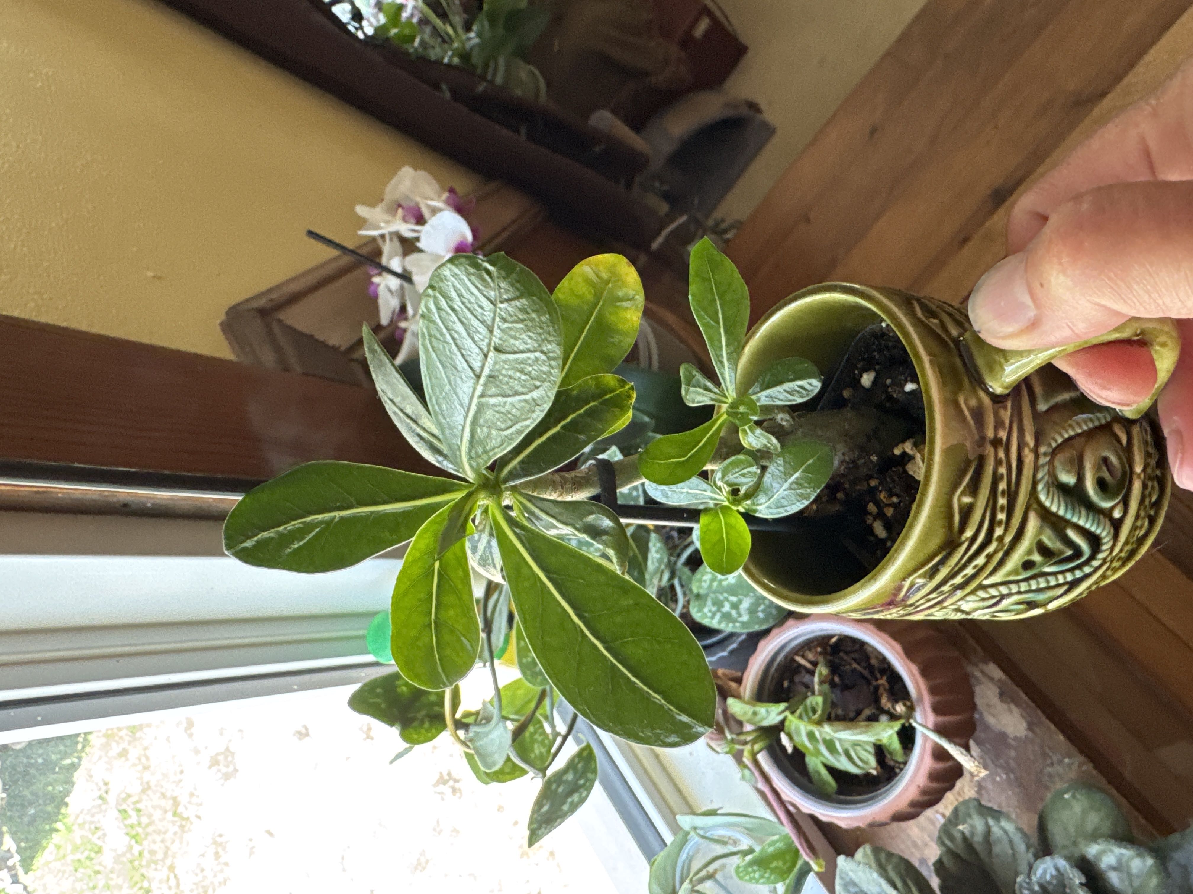 Photo from the post