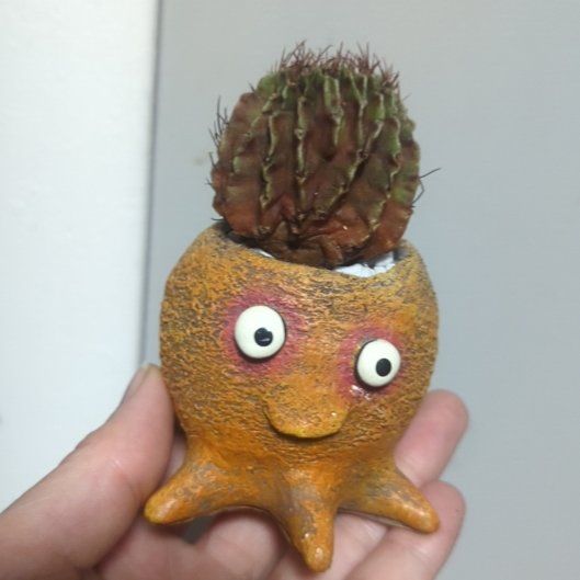 Photo of the plant species Gymnocalycium anisitsii by @HeeyyJess named Captain Plant-it on Greg, the plant care app