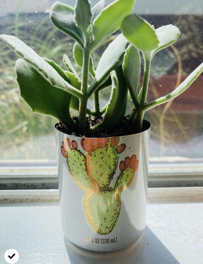 Photo from the post