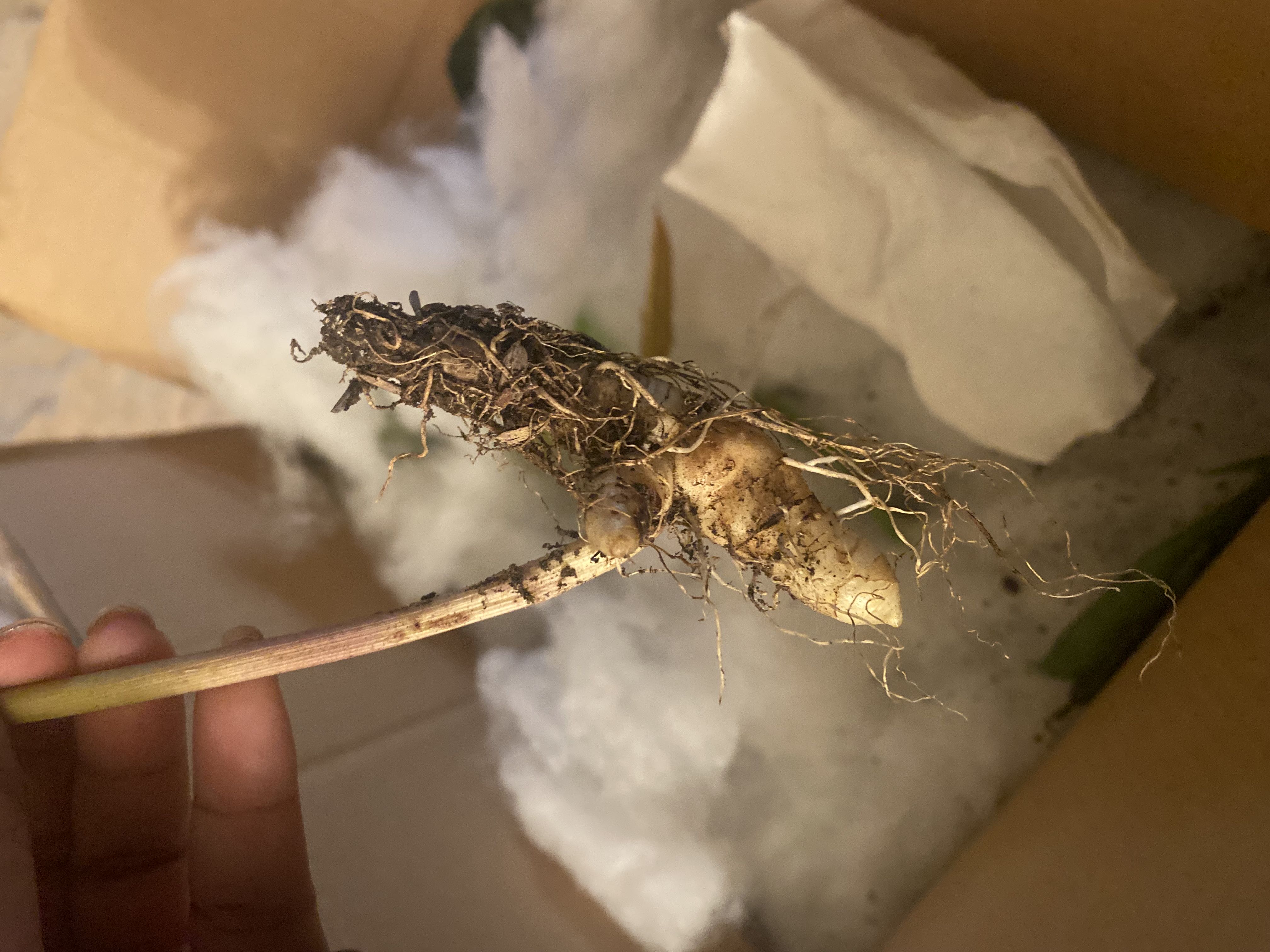 Photo from the post