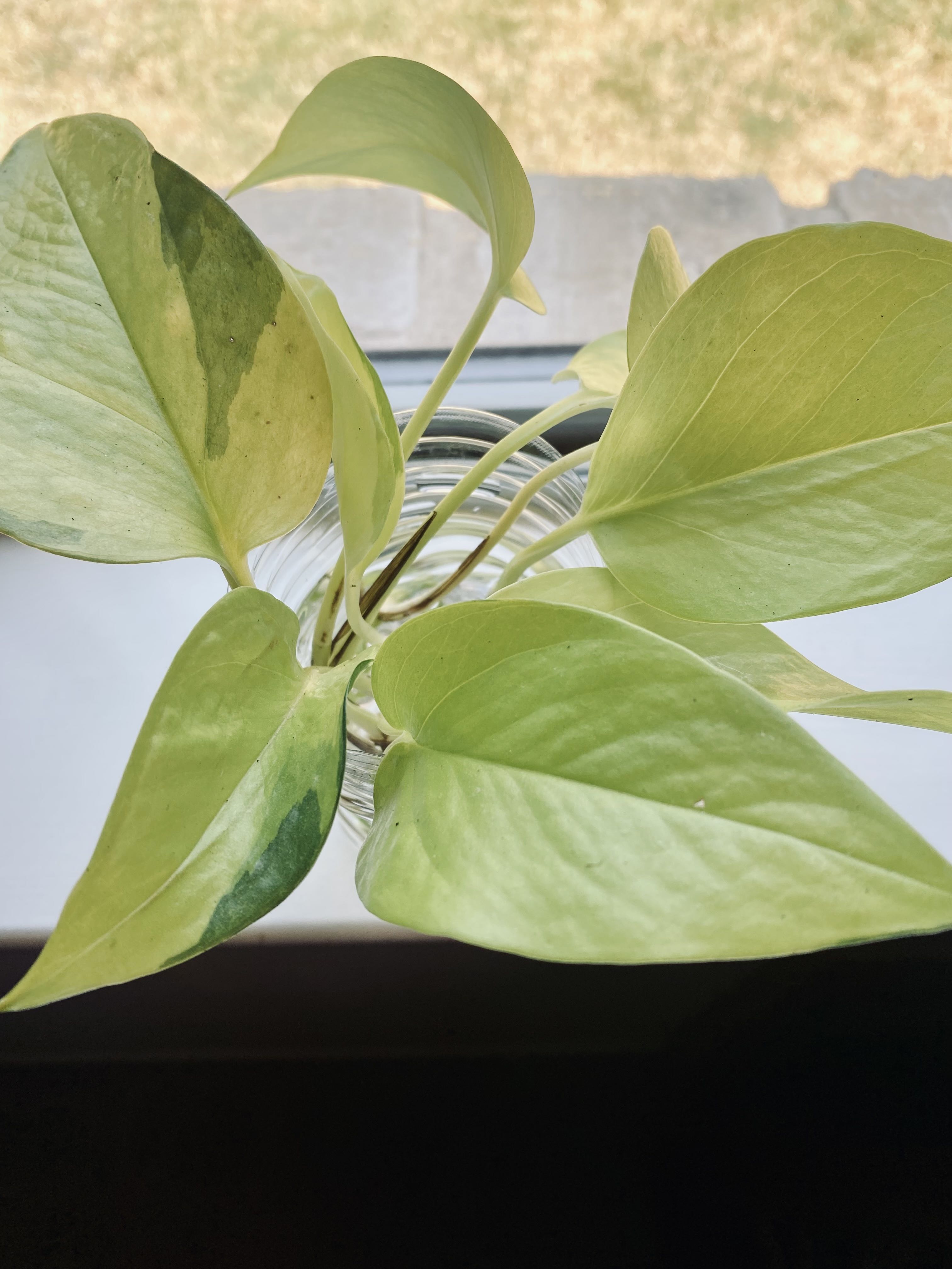 Photo from the post
