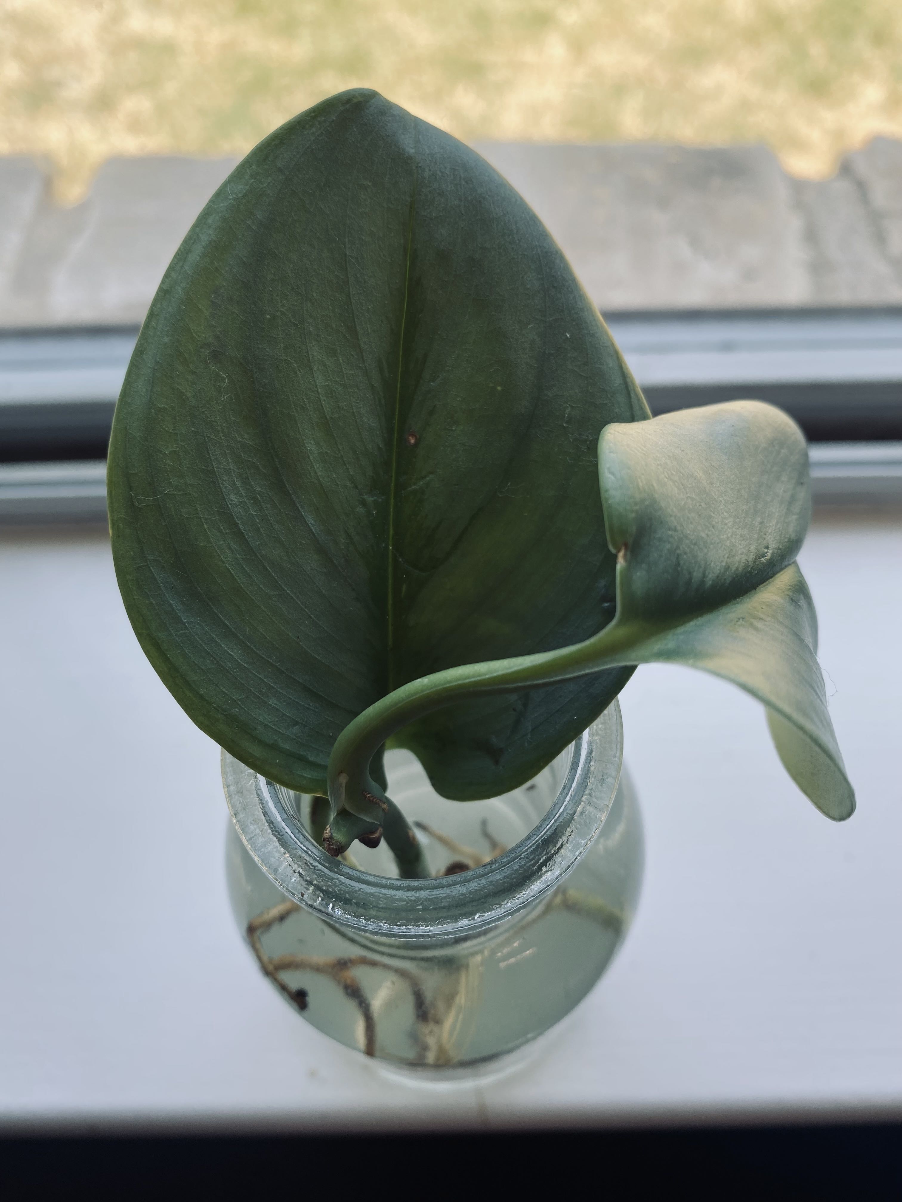 Photo from the post