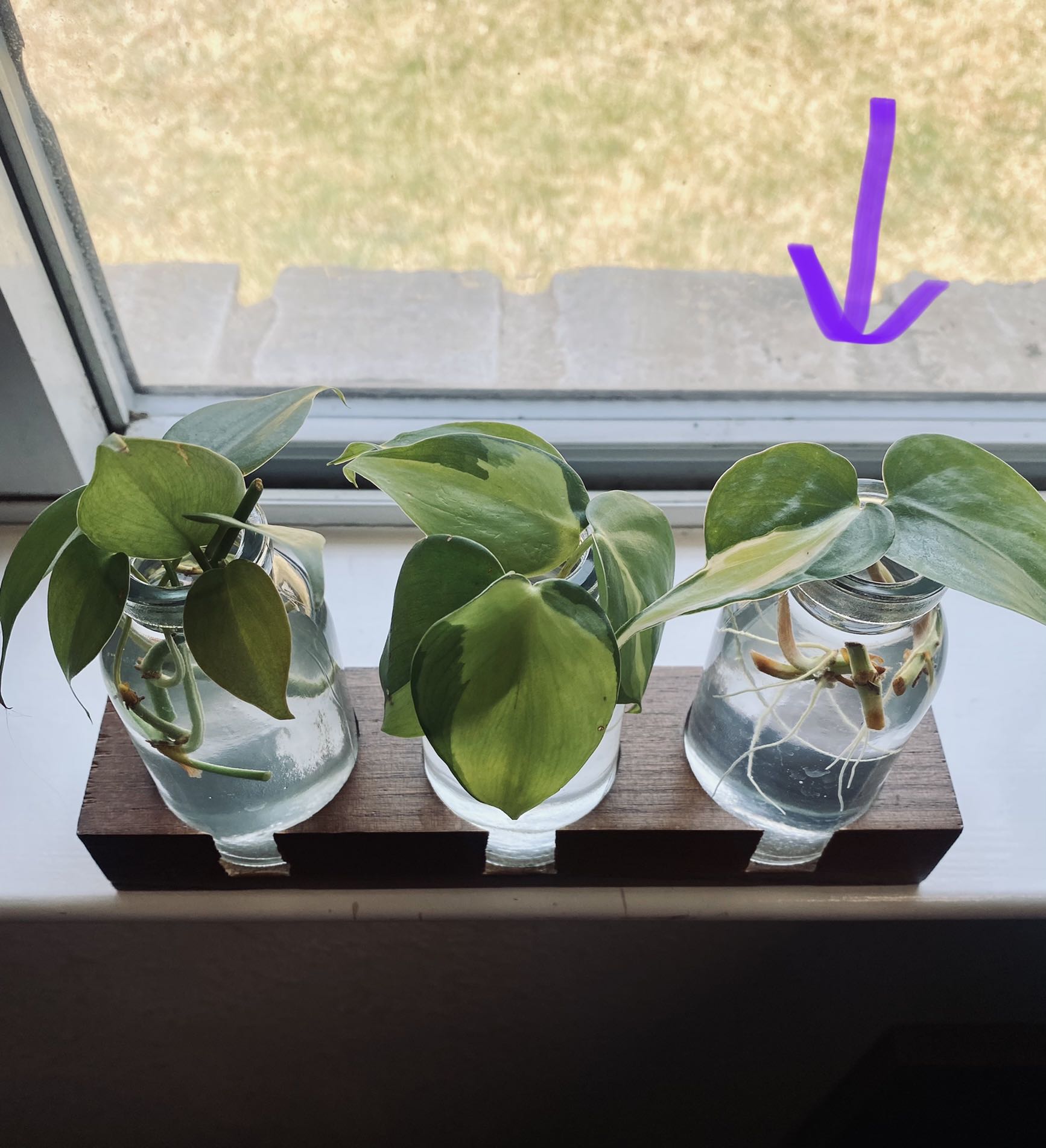 Photo from the post