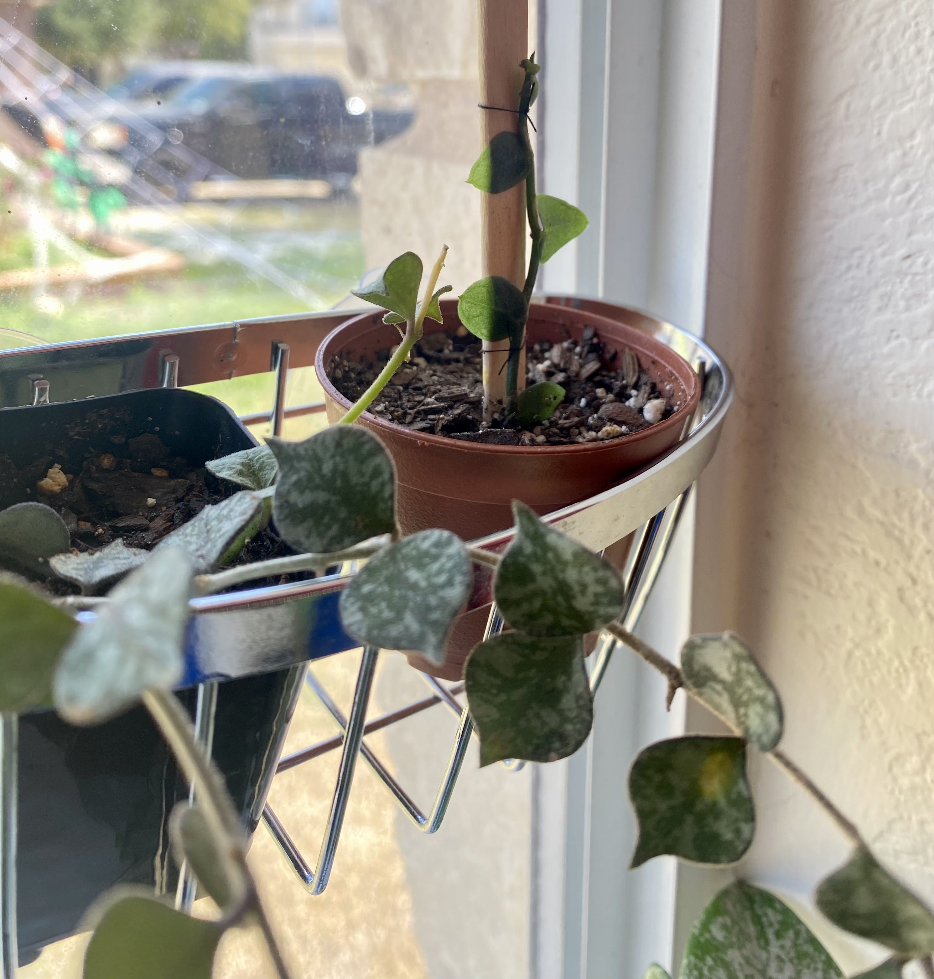 Photo from the post