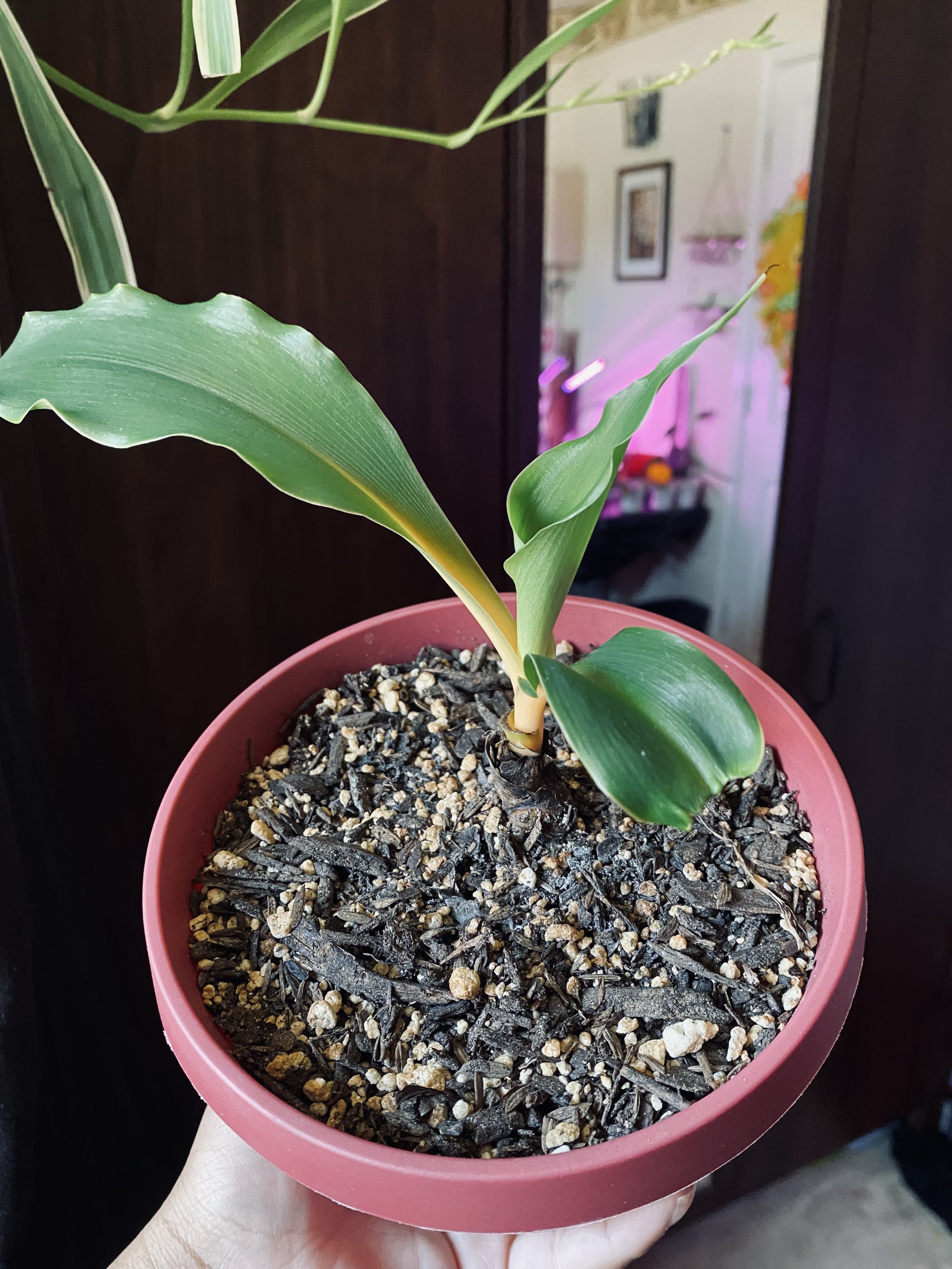 Photo from the post