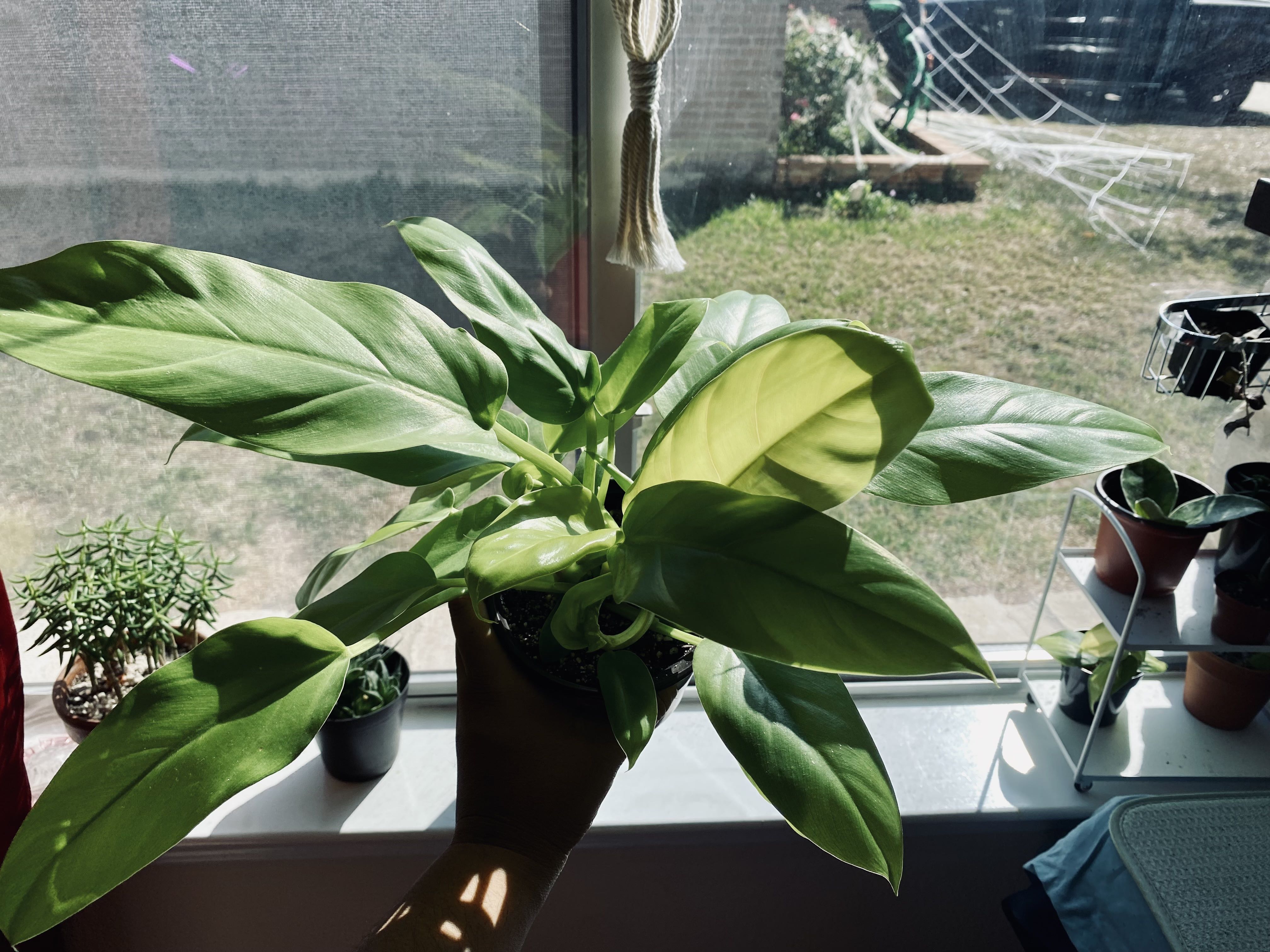Photo from the post