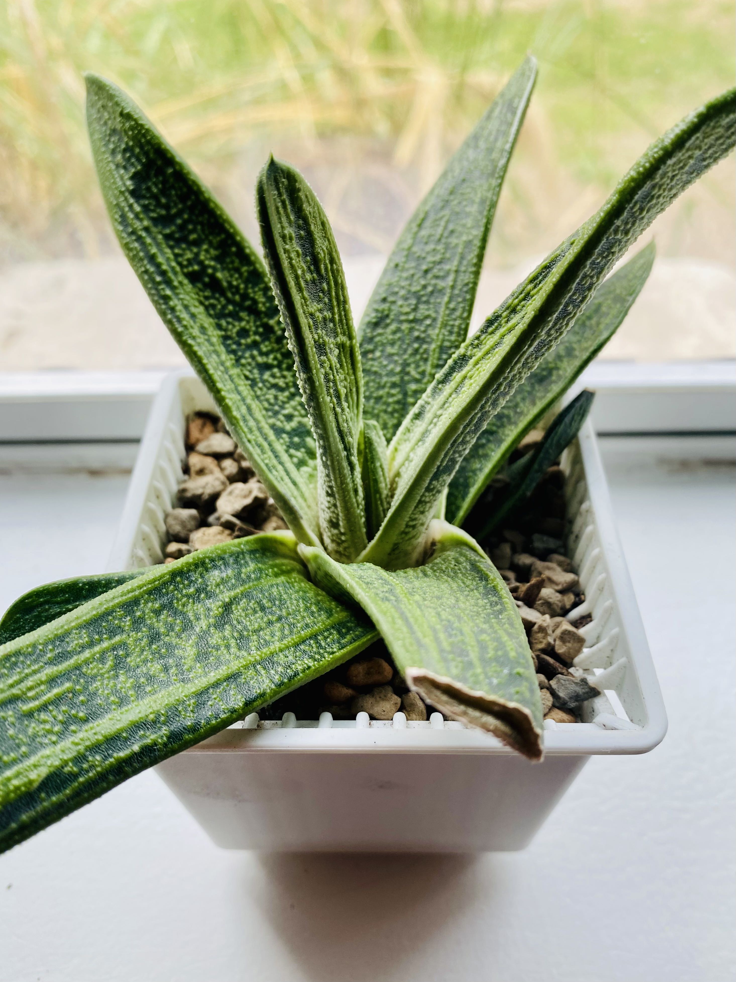 Photo from the post