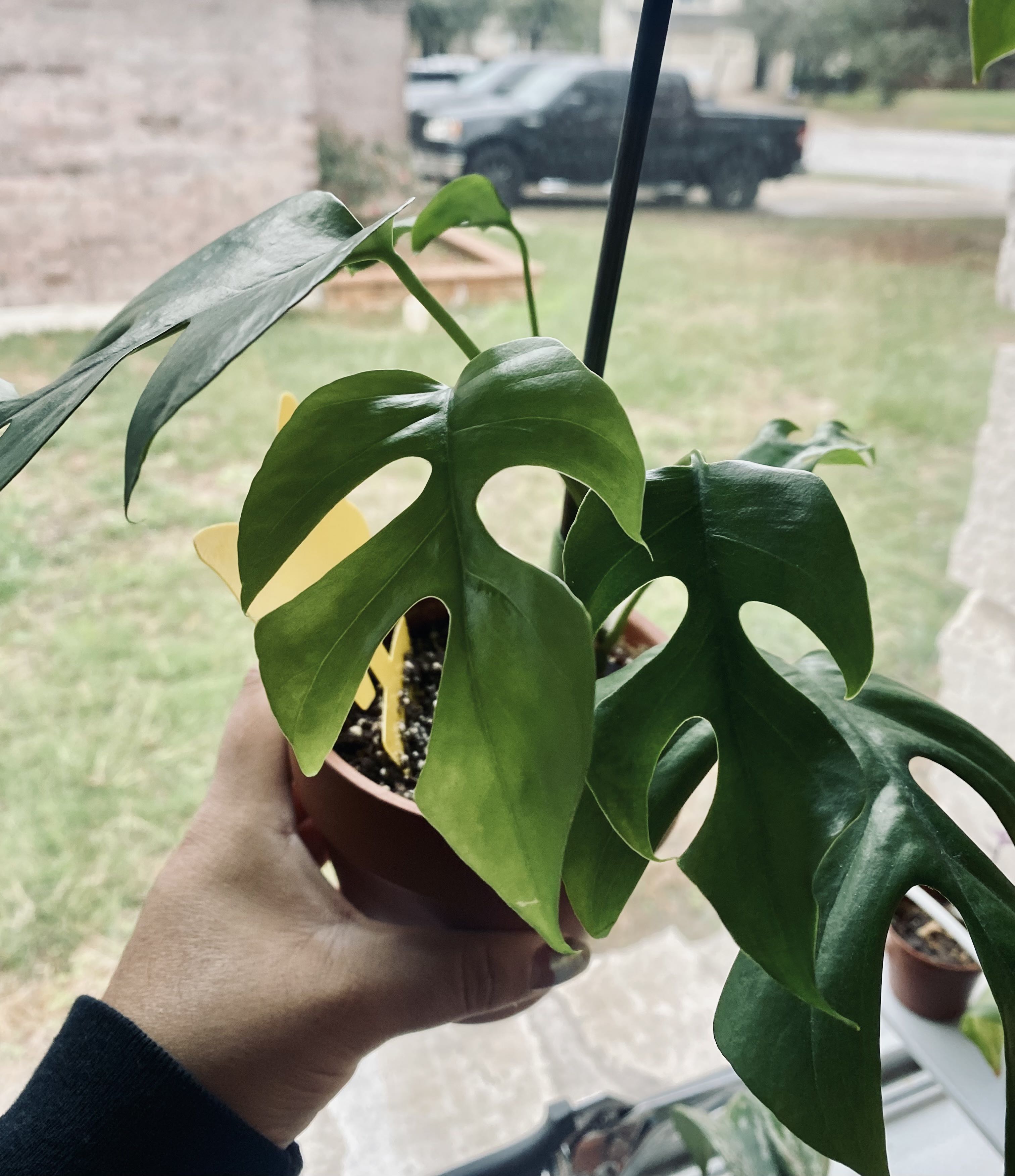 Photo from the post