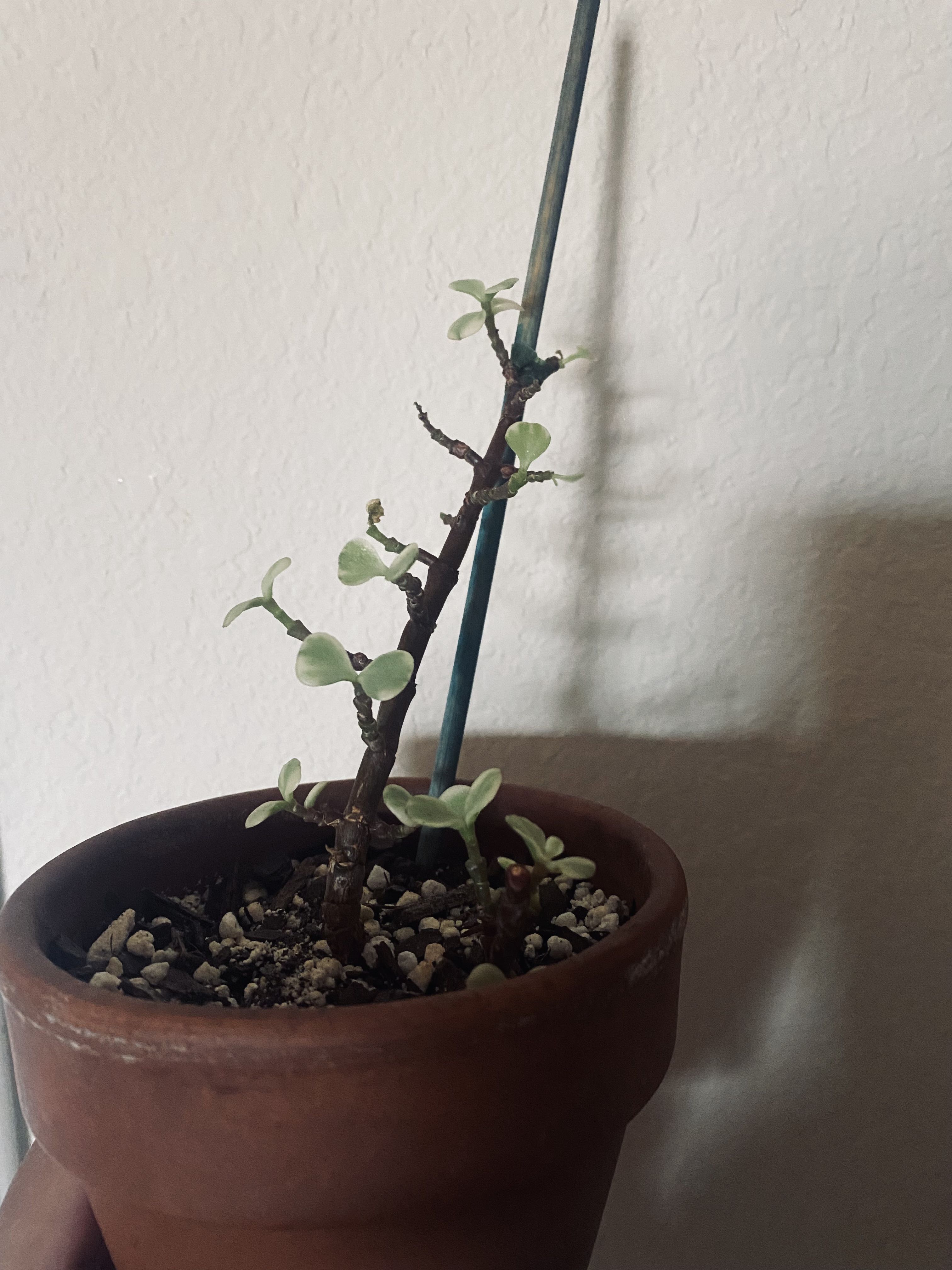 Photo from the post