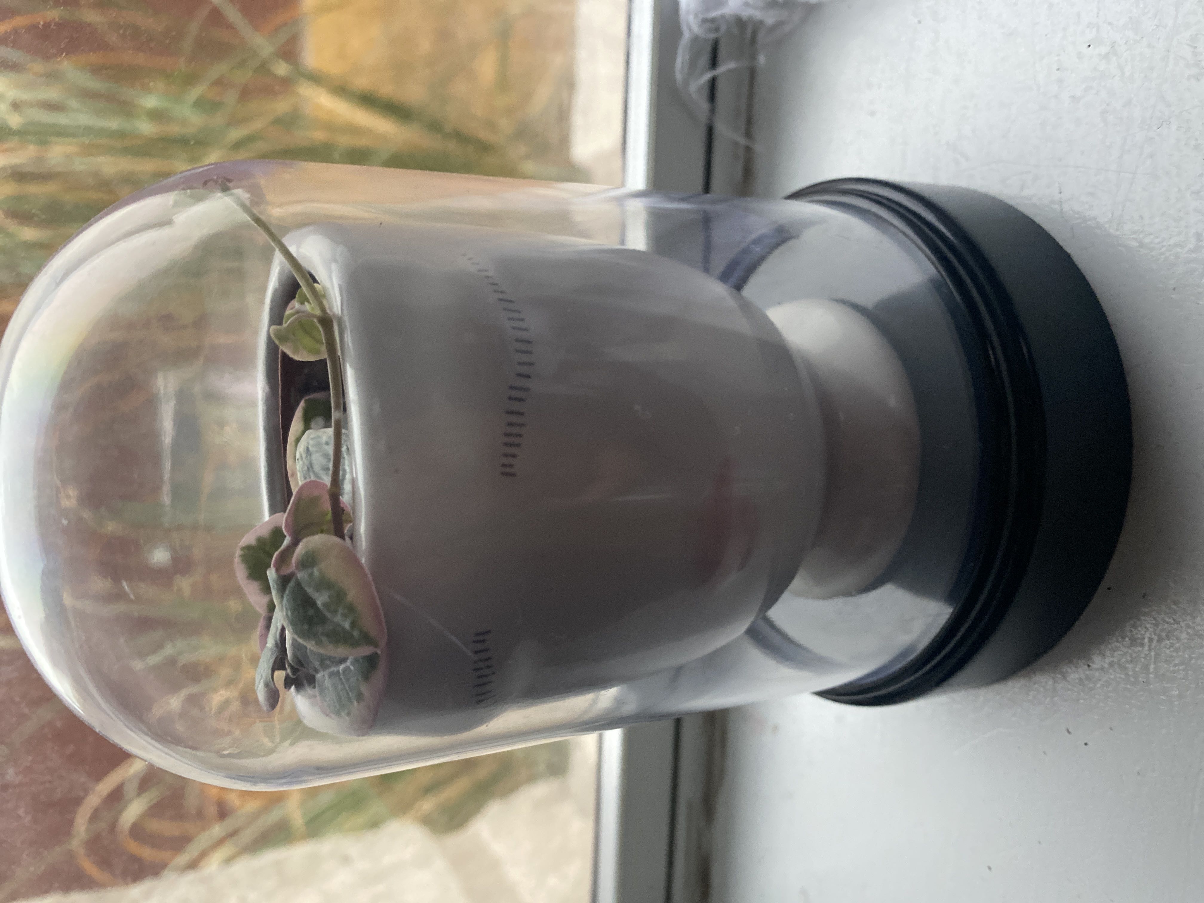 Photo from the post