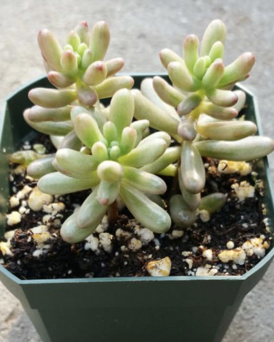 Photo from the post