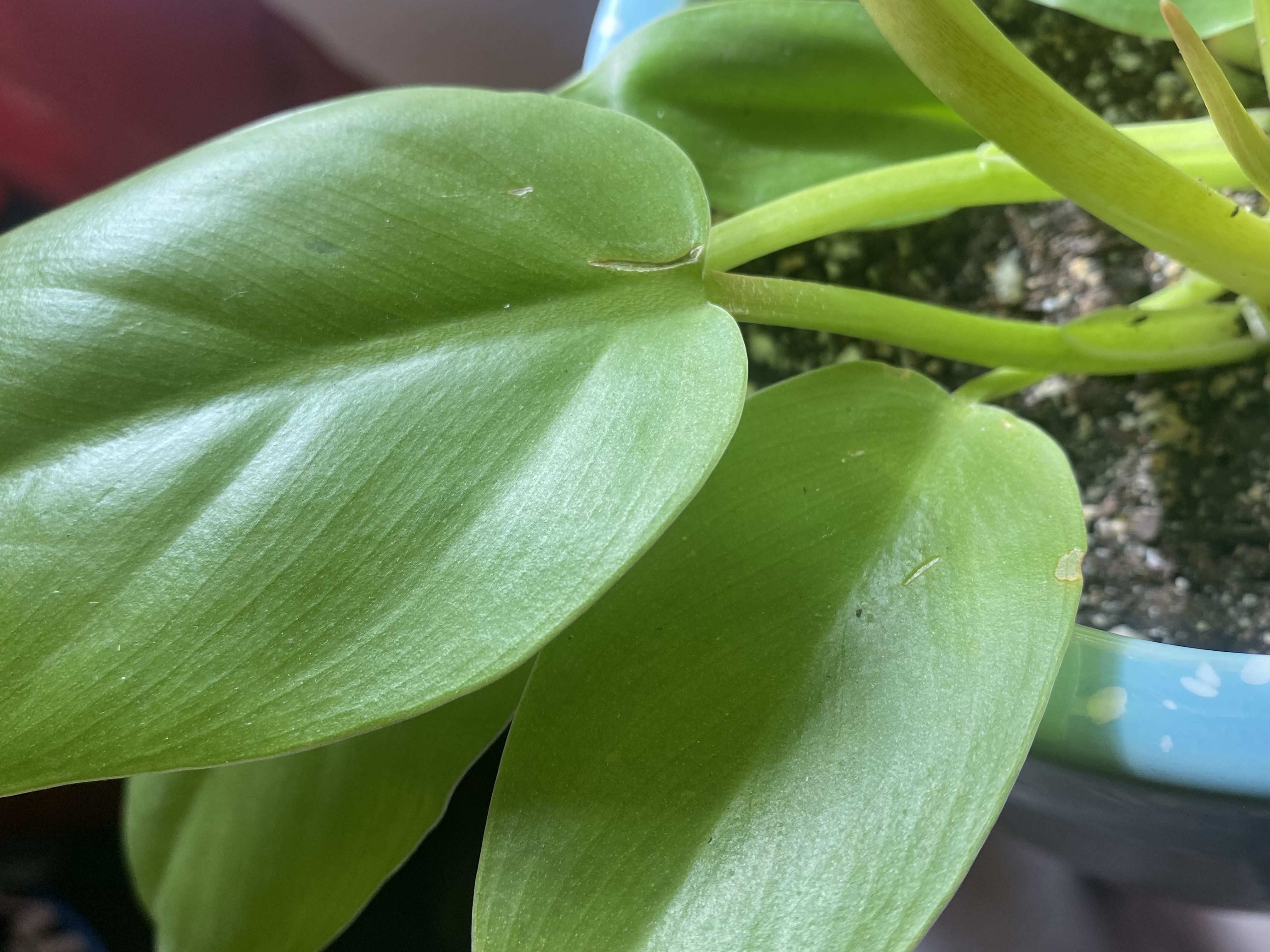 Photo from the post