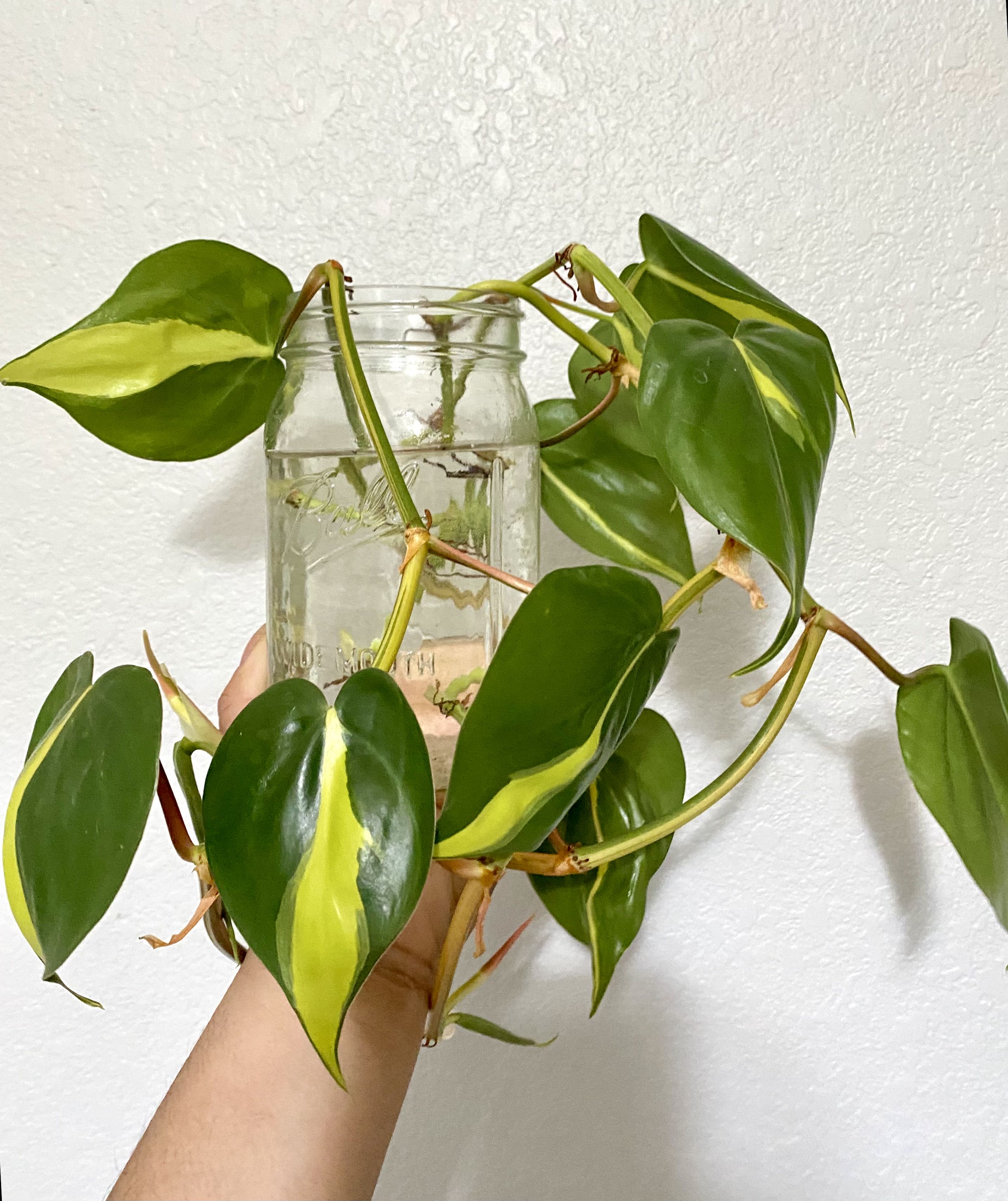 Photo from the post