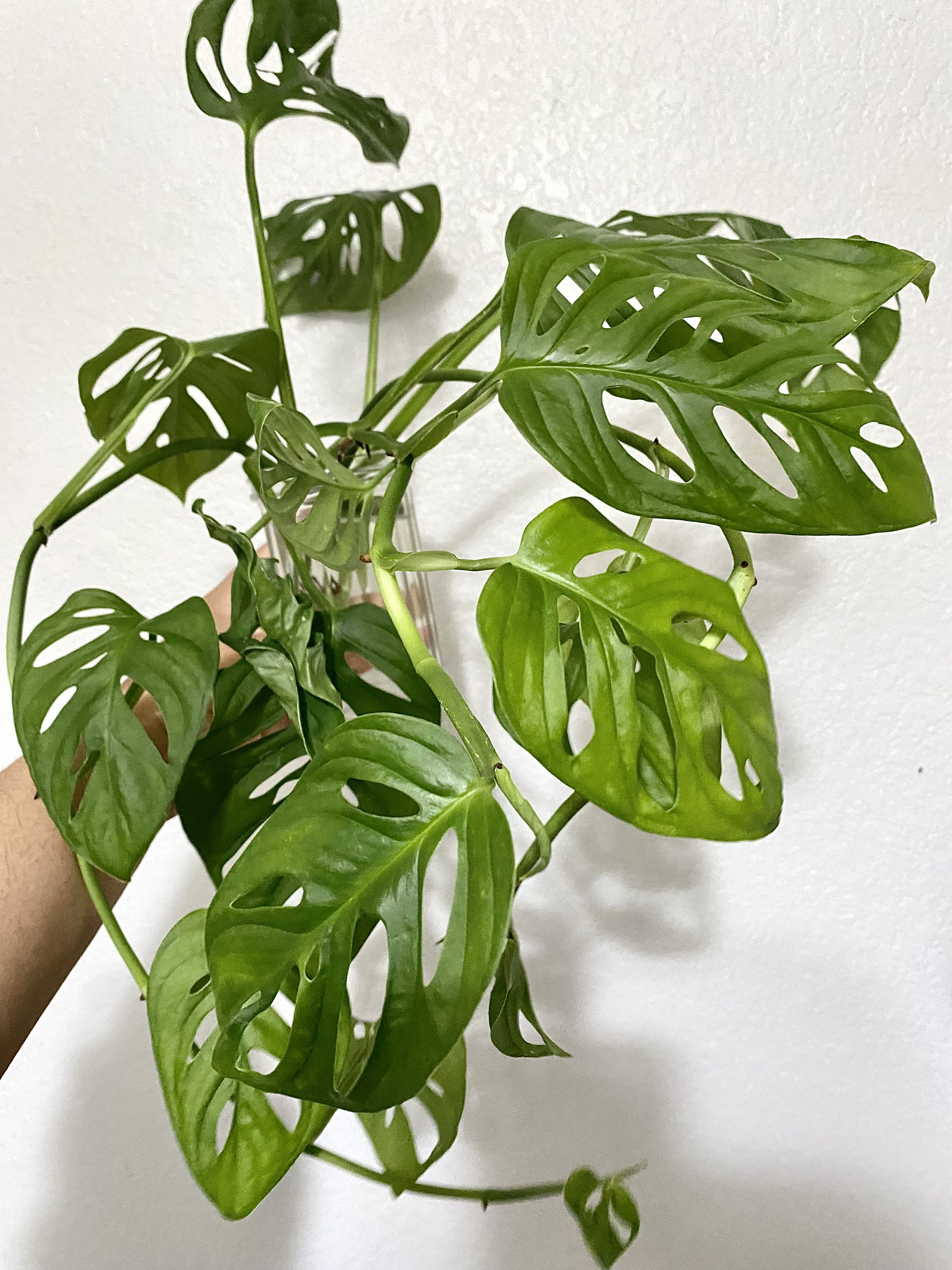 Photo from the post
