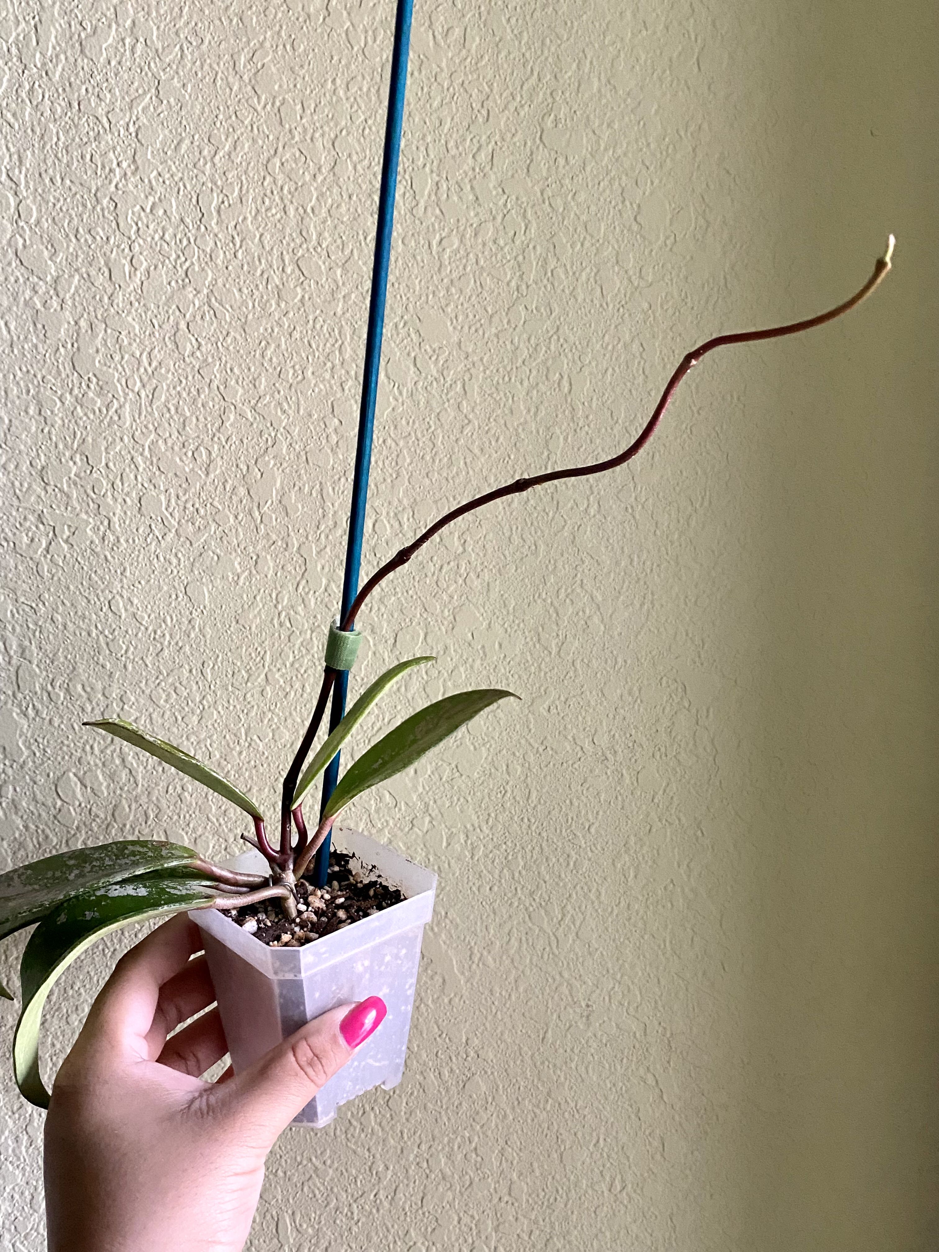 Photo from the post