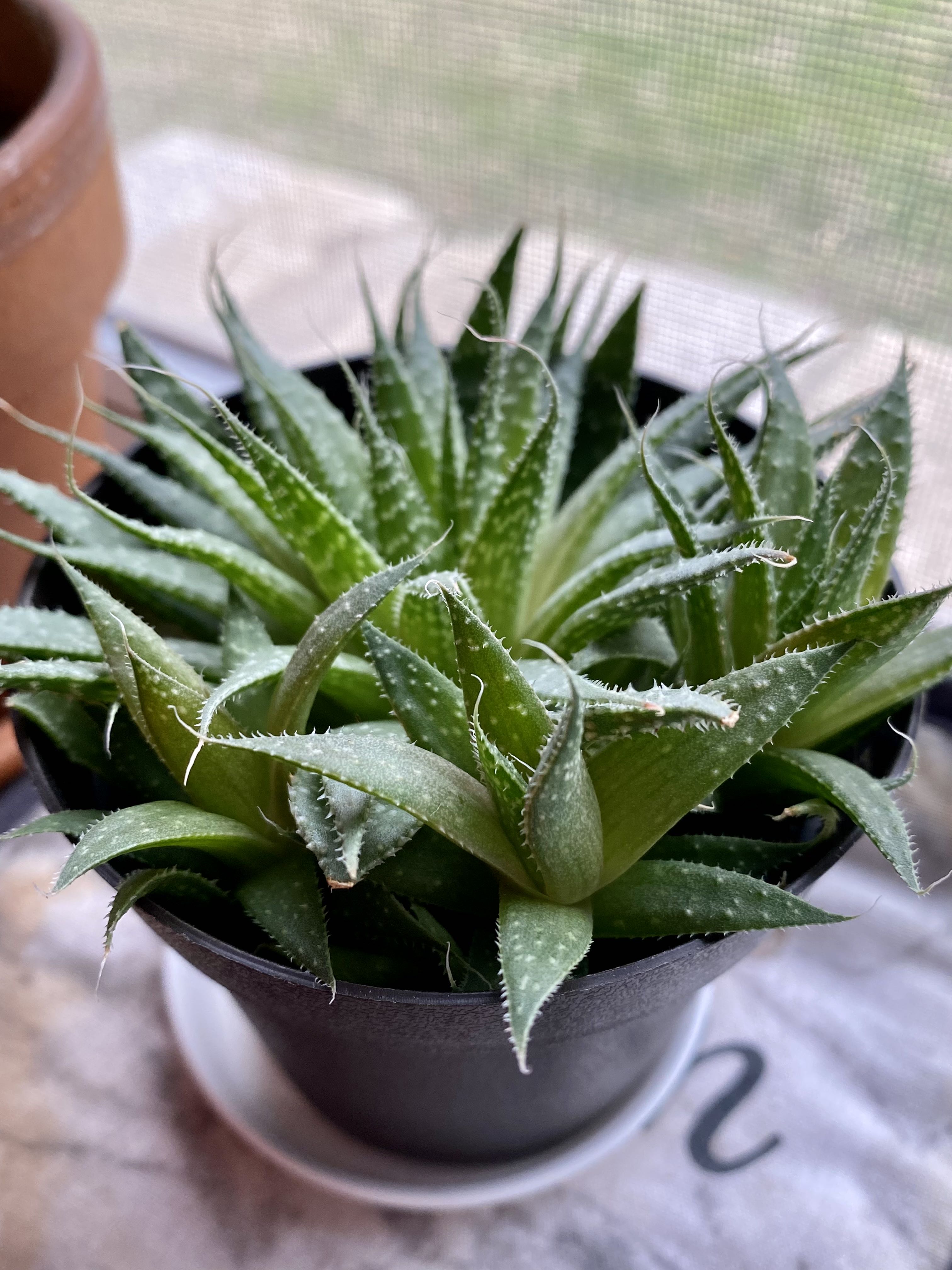 Photo from the post