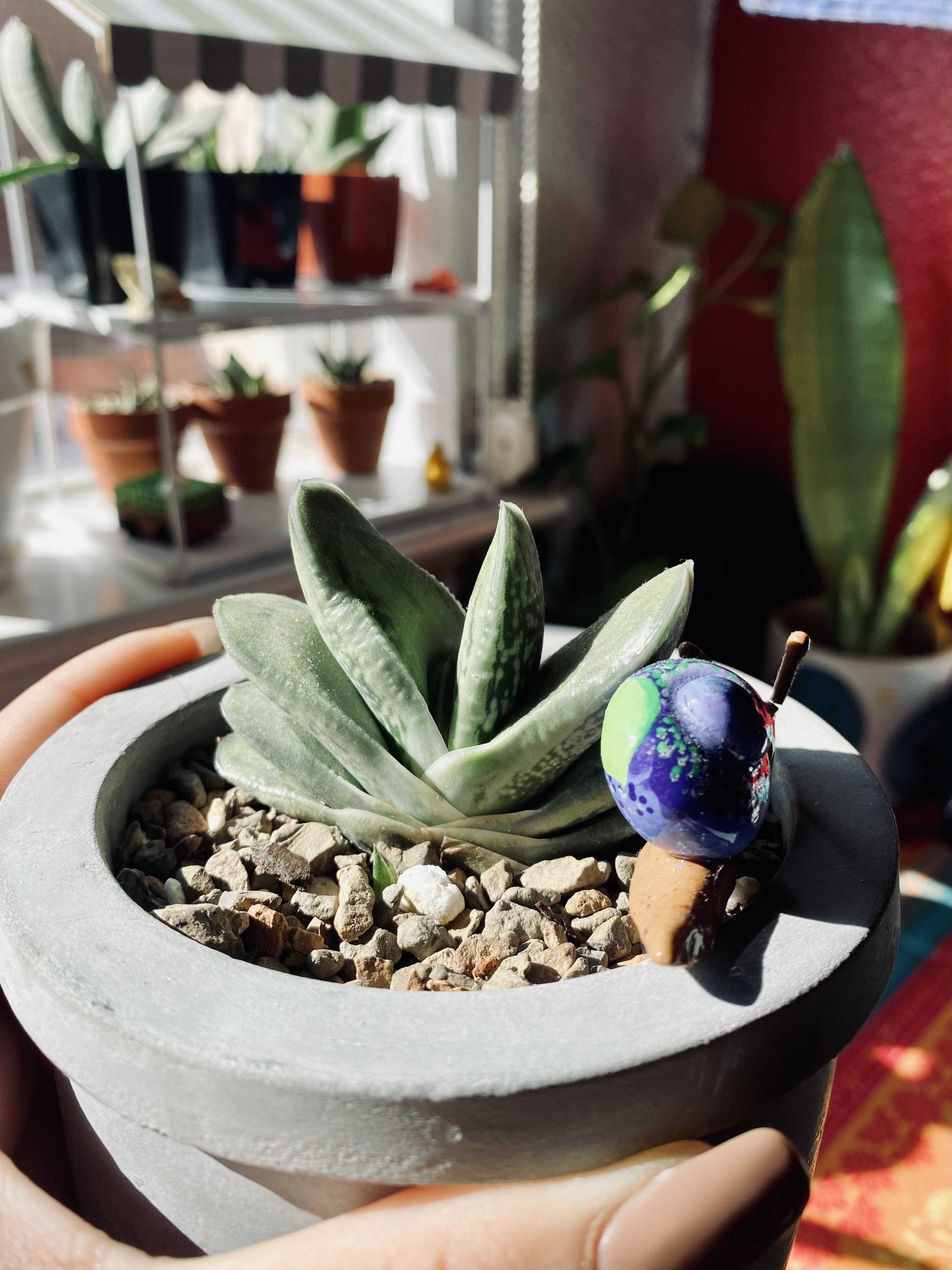 Photo from the post