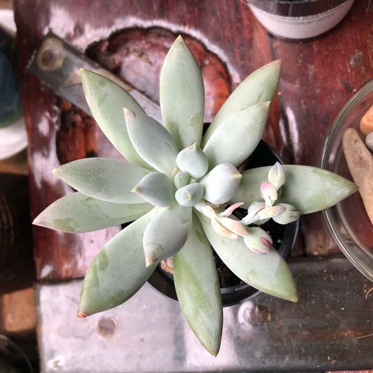 Photo from the post