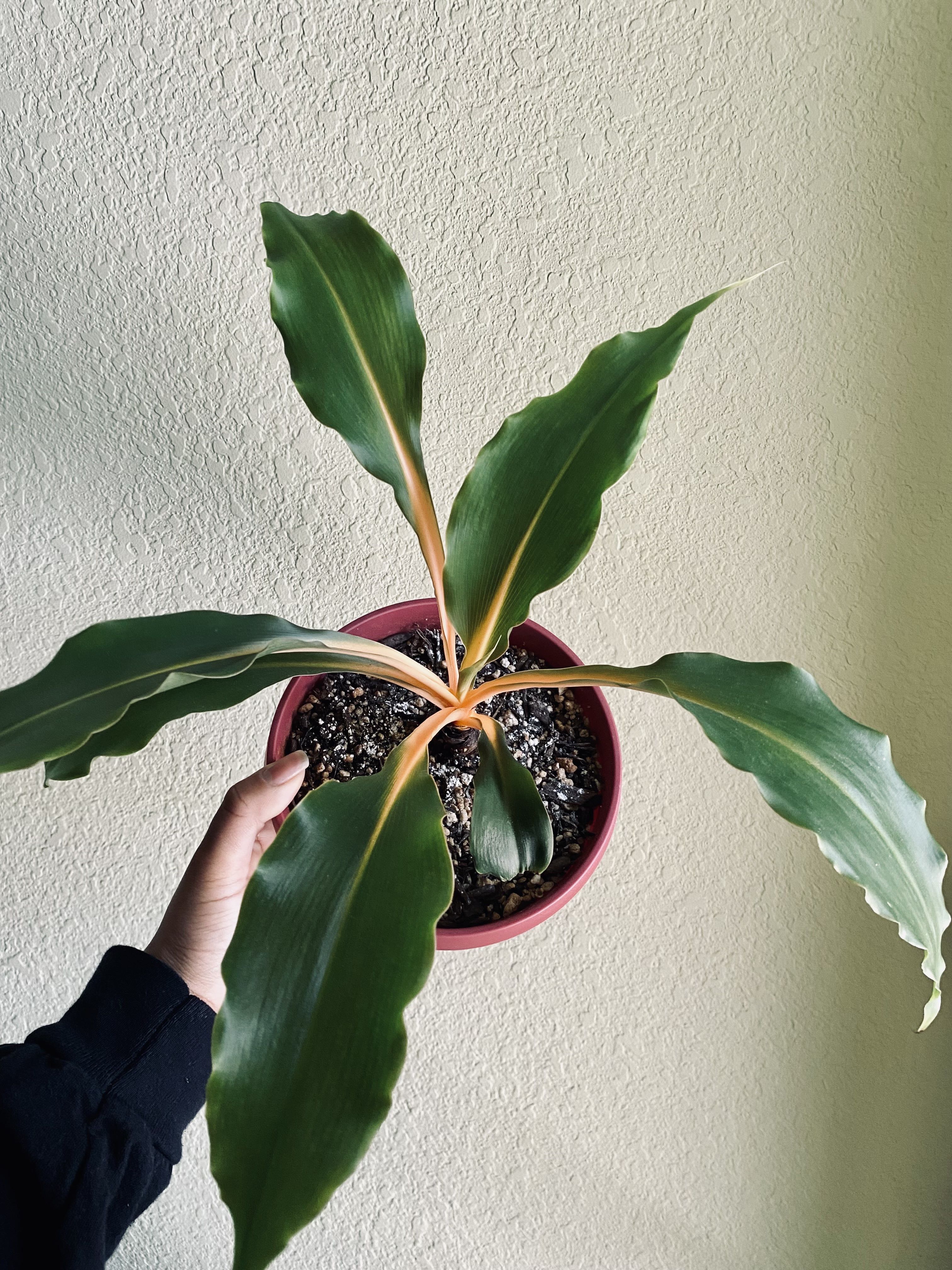 Photo from the post