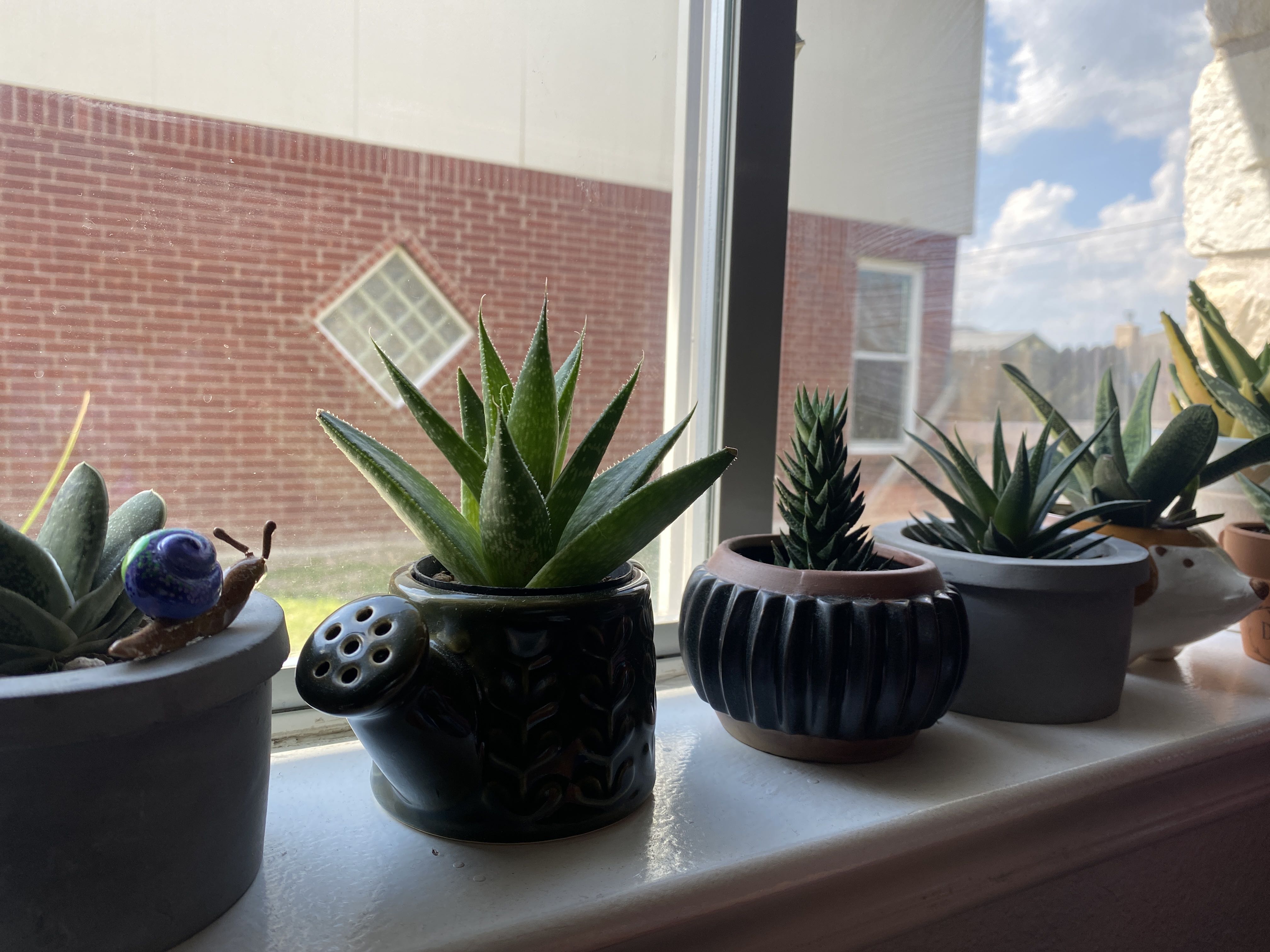 Photo from the post