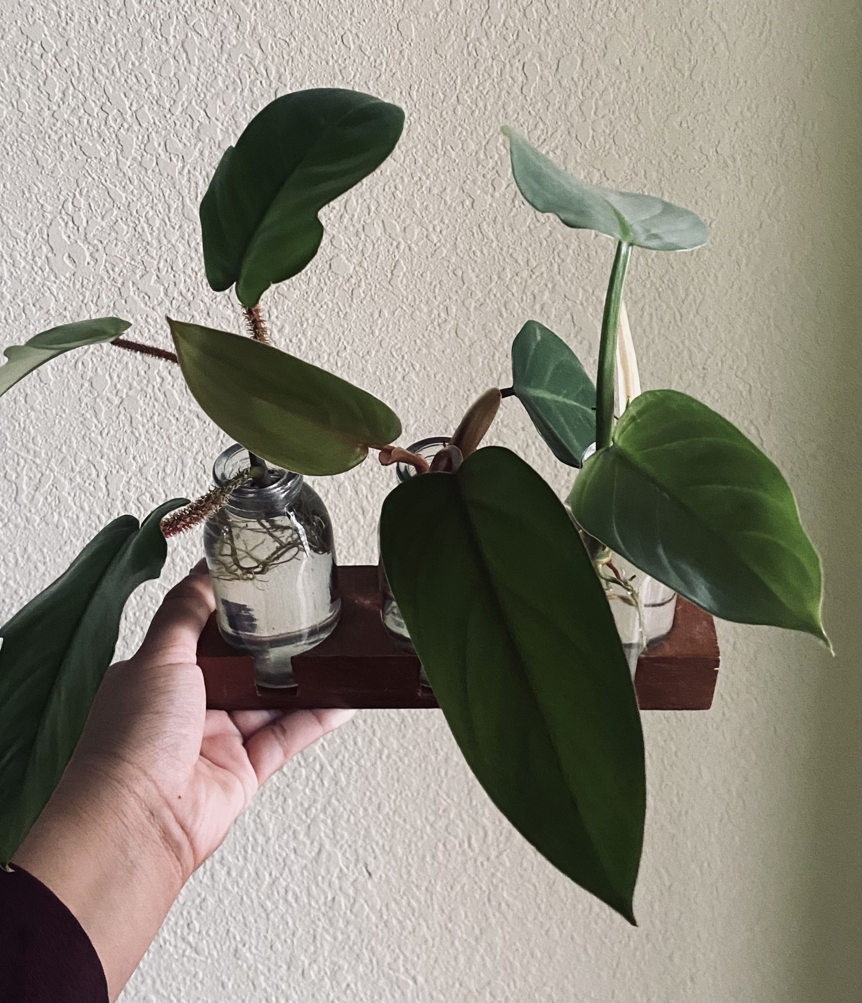 Photo from the post
