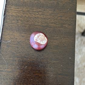 Photo of the plant species Common Plum by Lynette named Michelle Branch on Greg, the plant care app