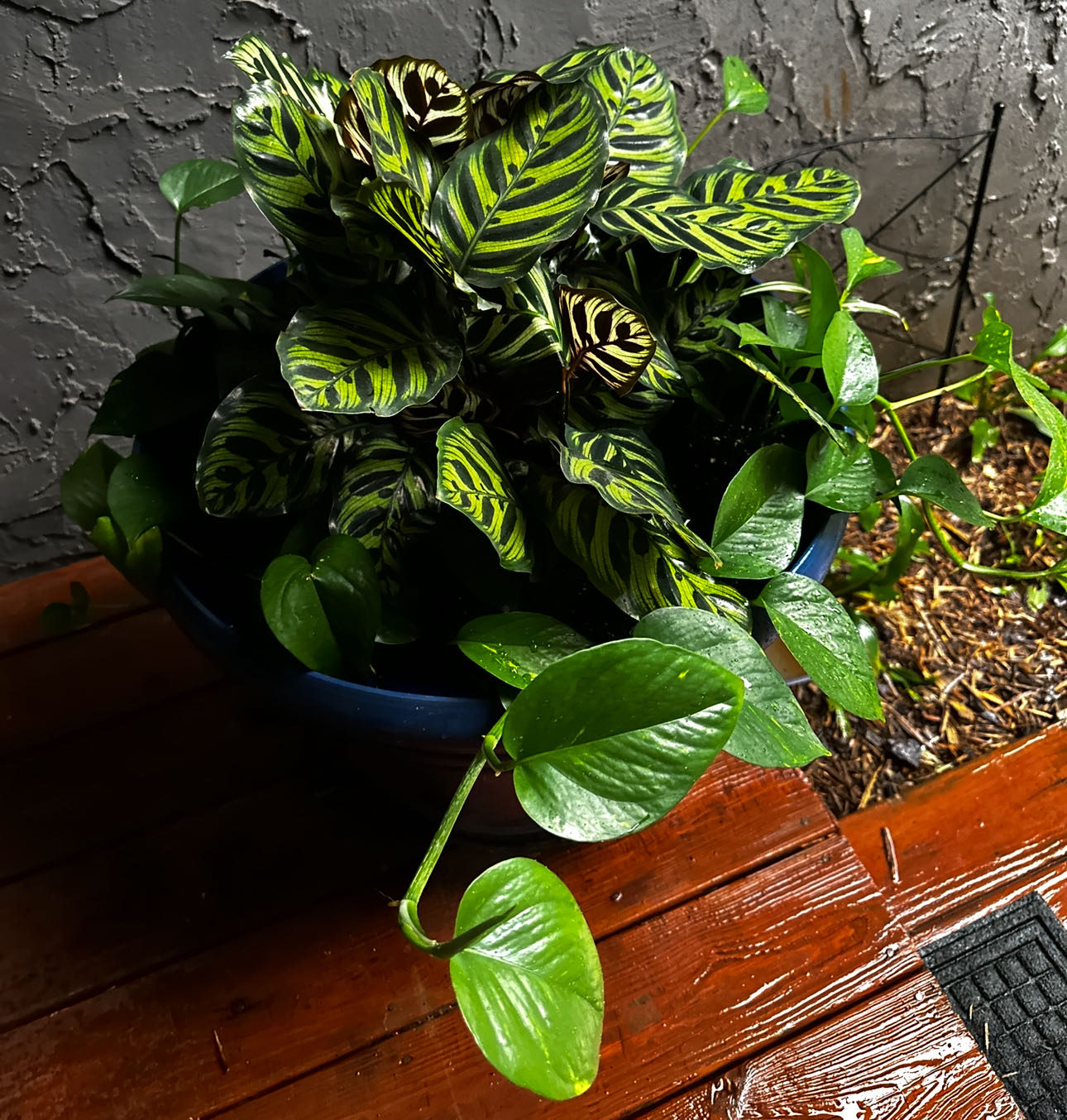 Photo from the post