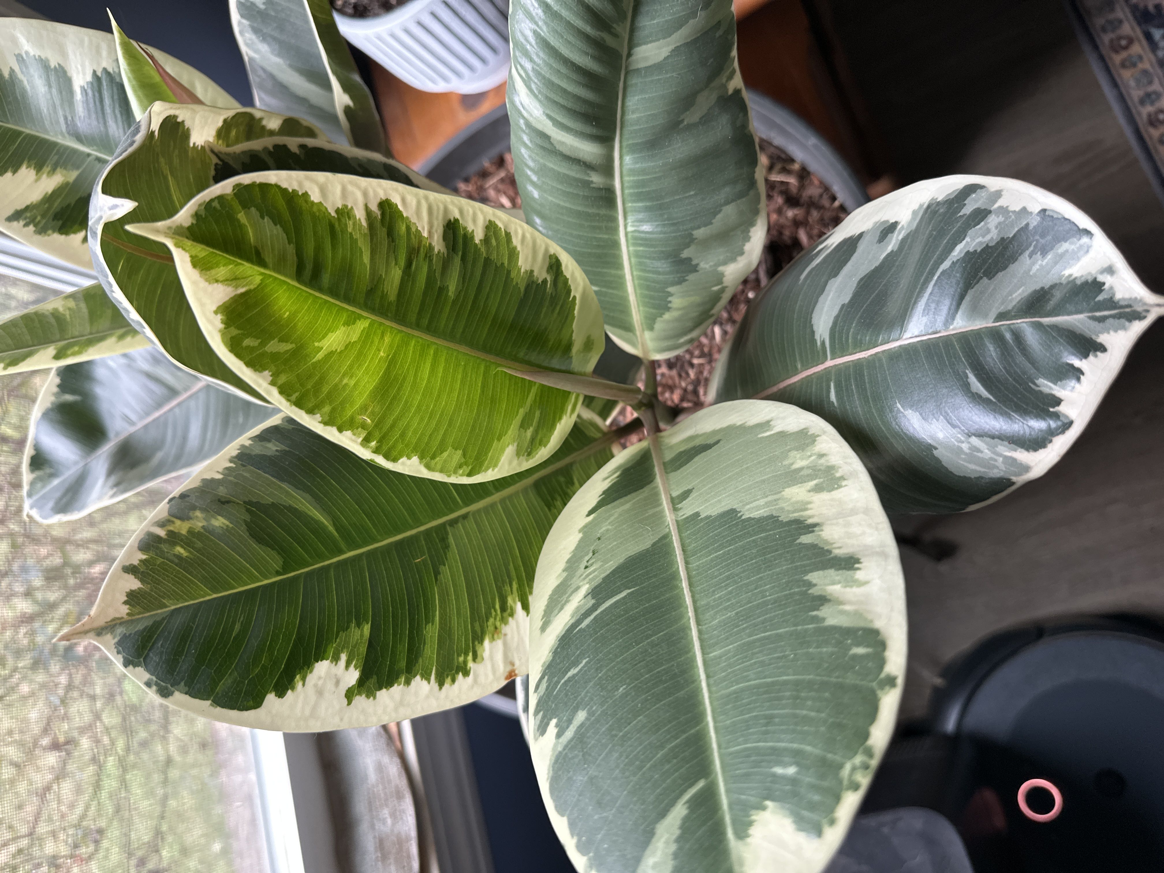 Photo from the post