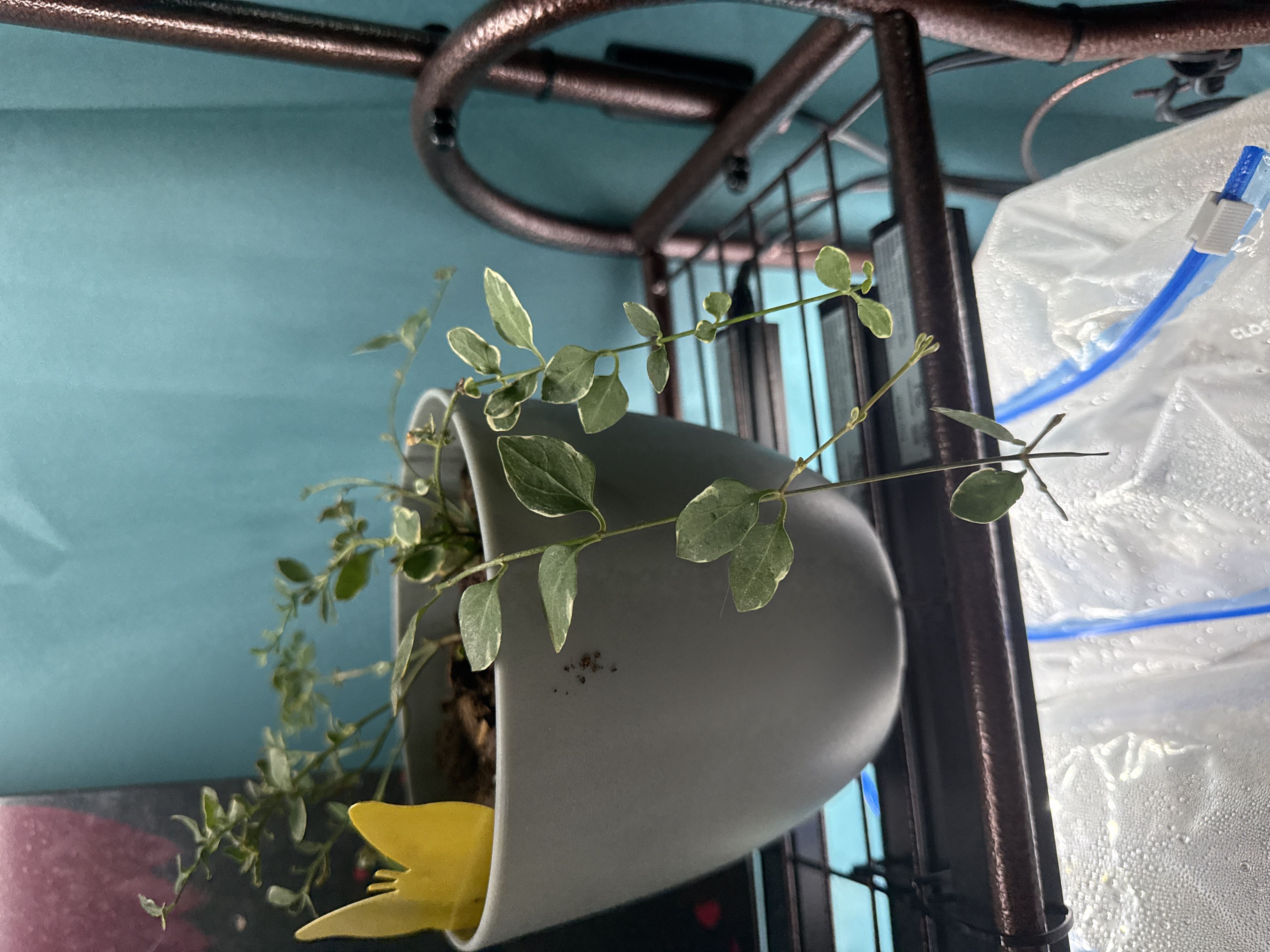 Photo from the post