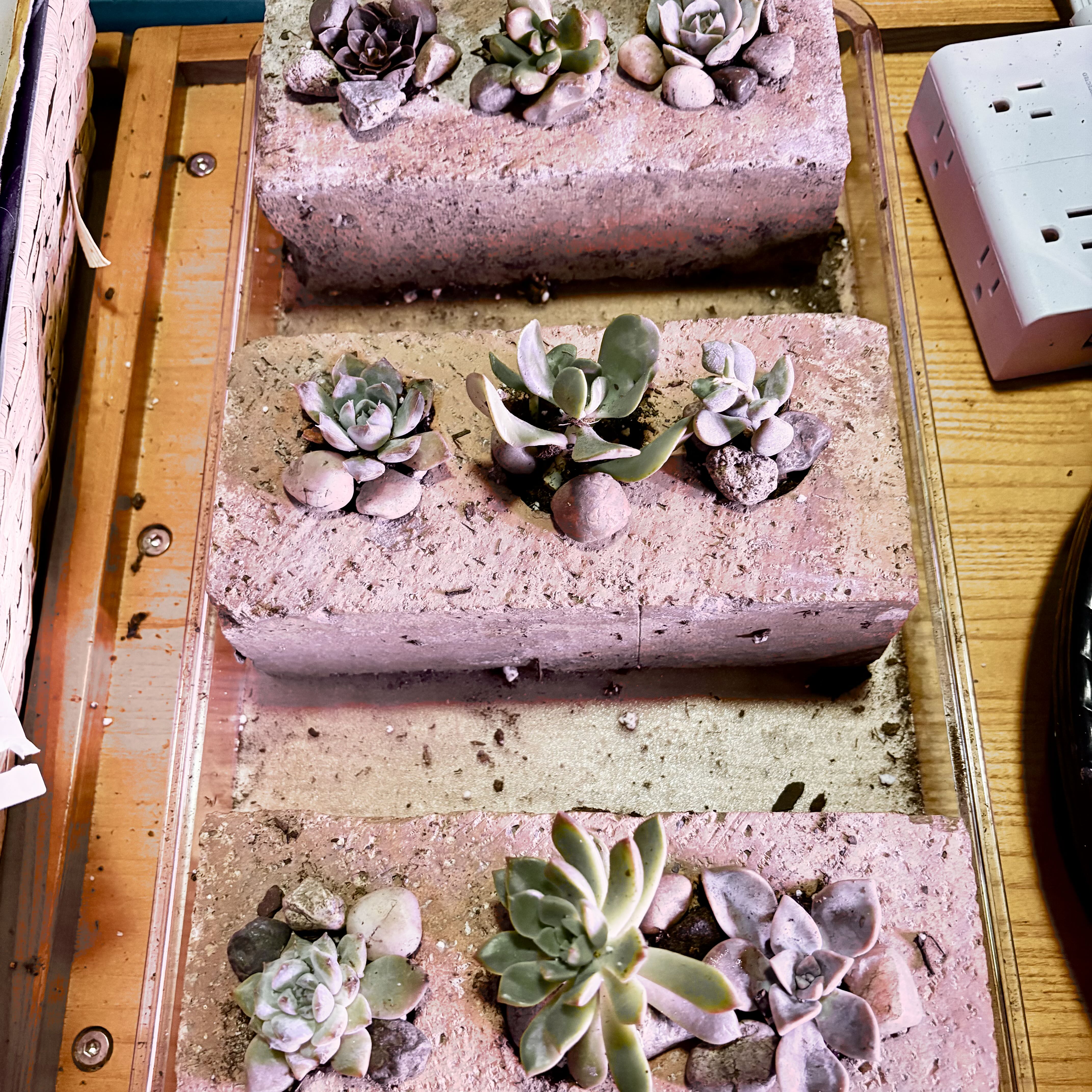 Photo from the post