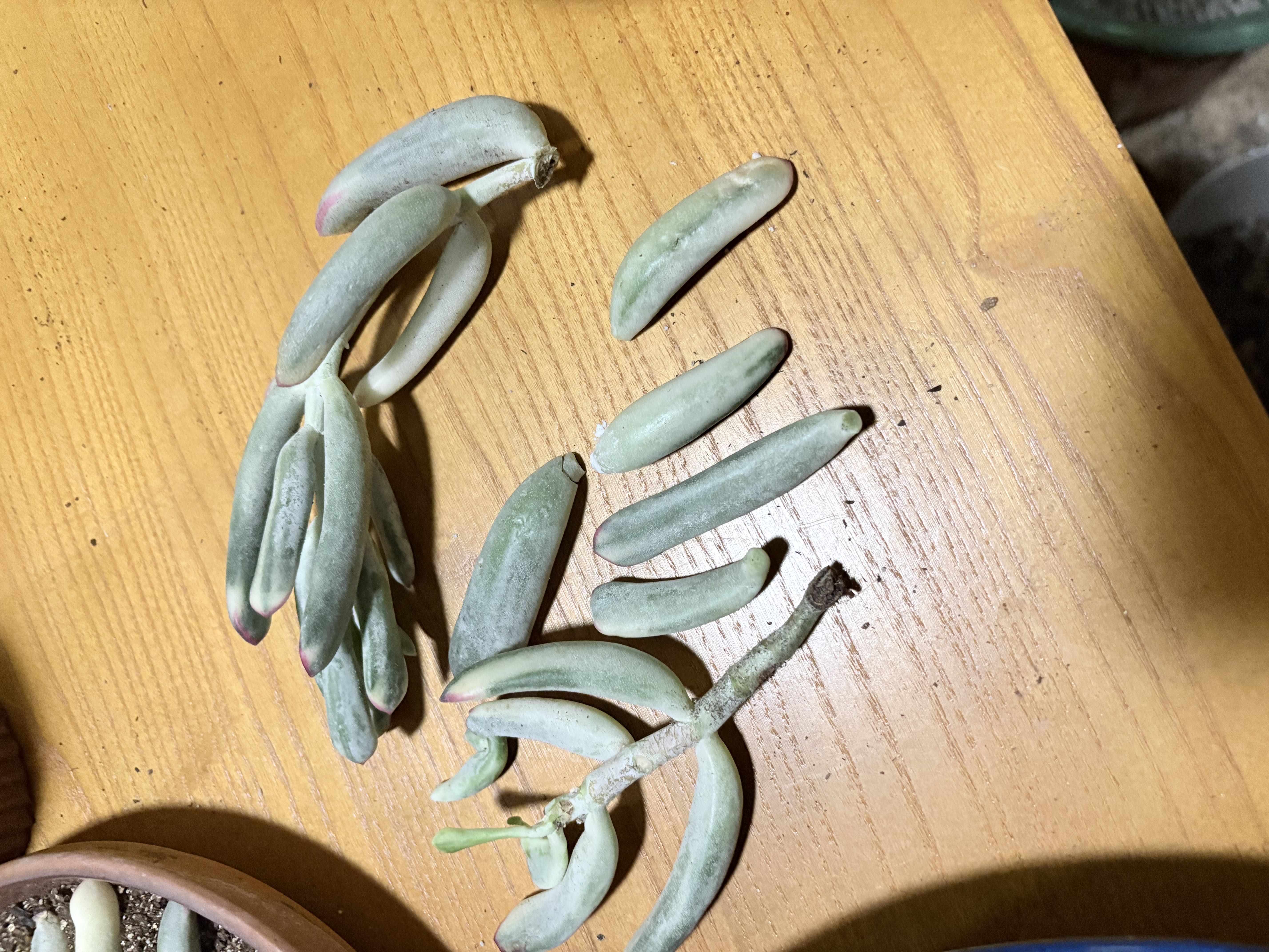 Photo from the post