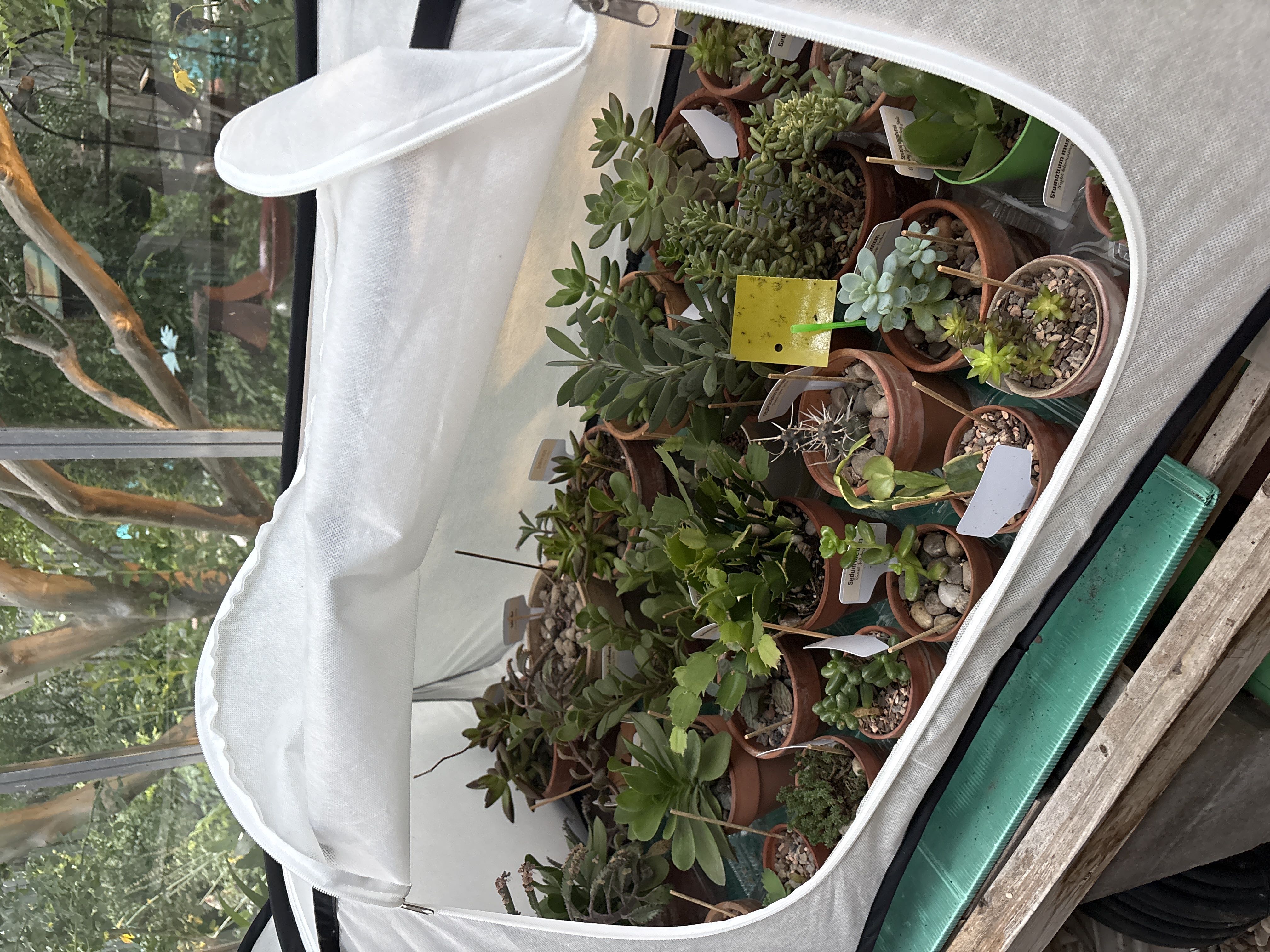 Photo from the post