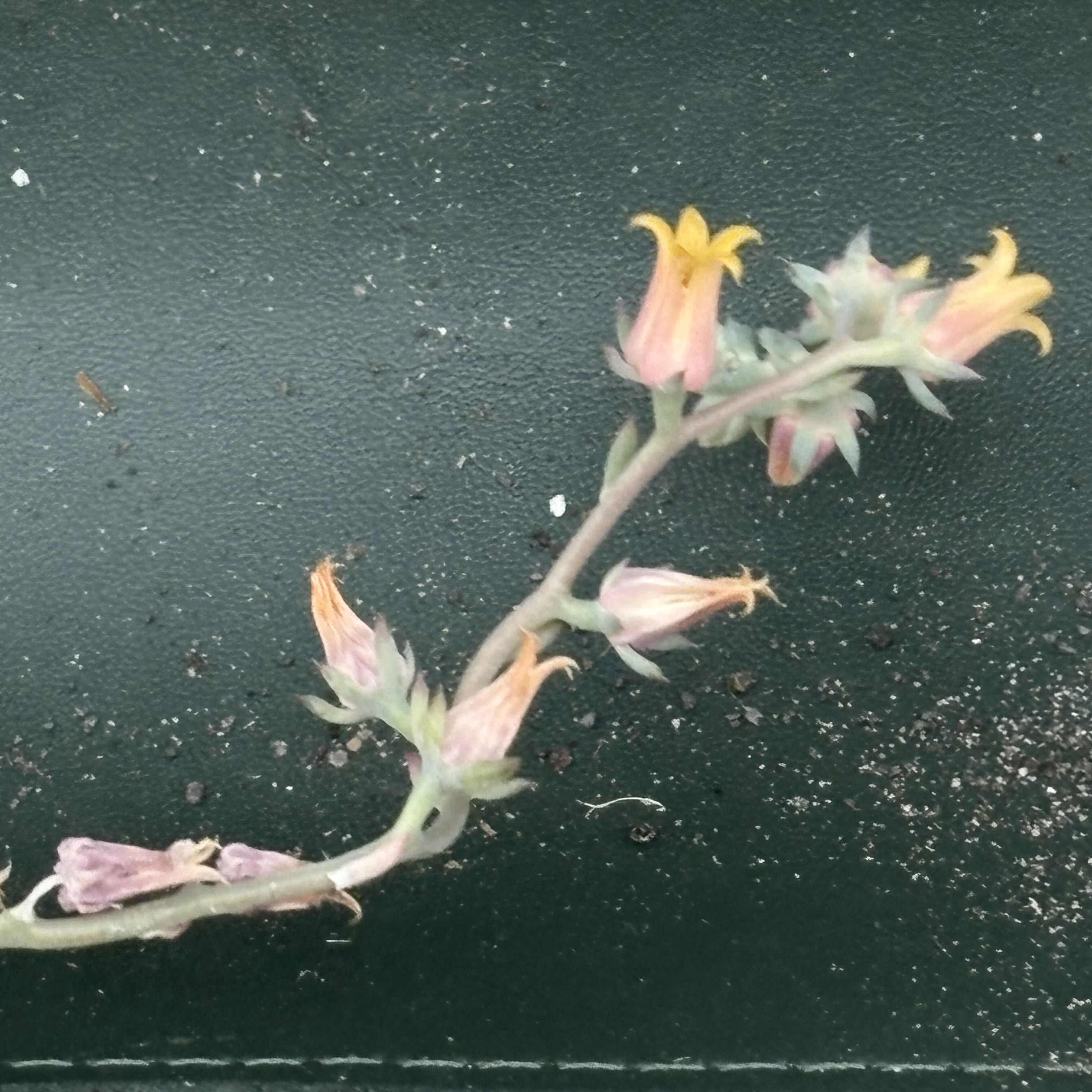 Photo from the post